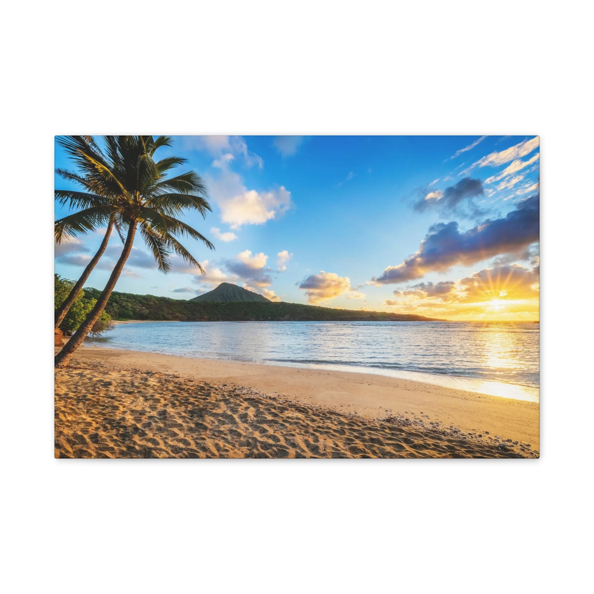 cc57bc7988f99f6a7b5cd95f2a0cafe1