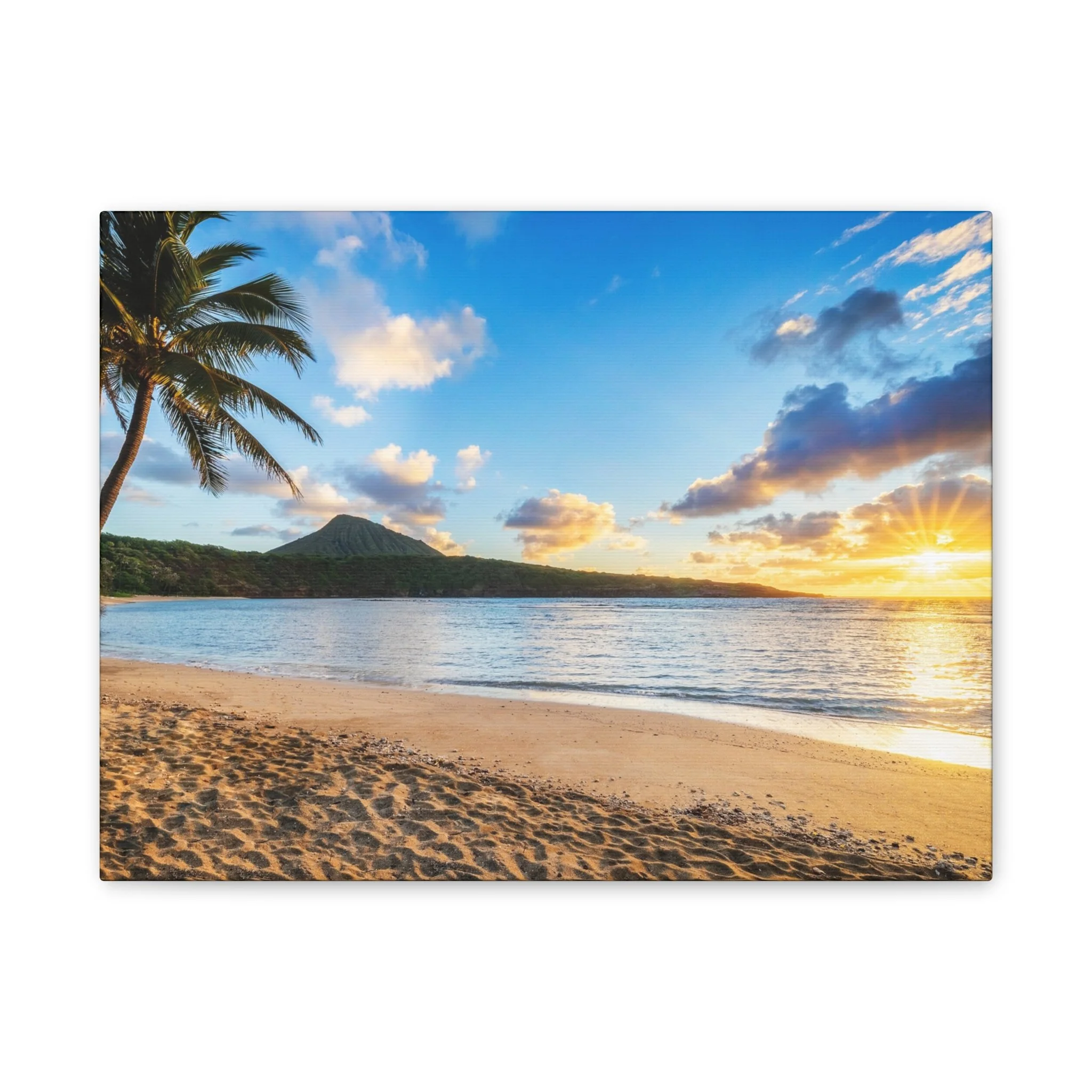 531d04601c136ed94382a69d571421a7