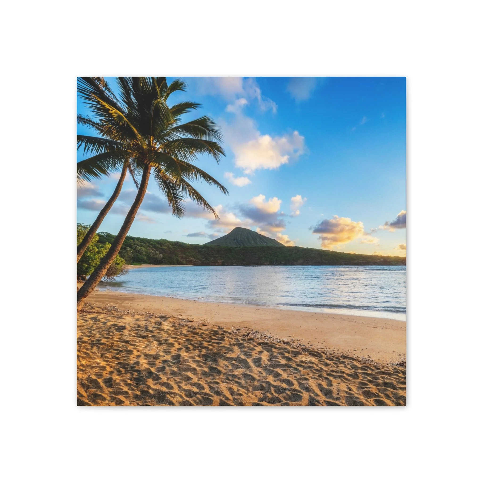 eb7a05c6816880c1abf5fd19d6591af9