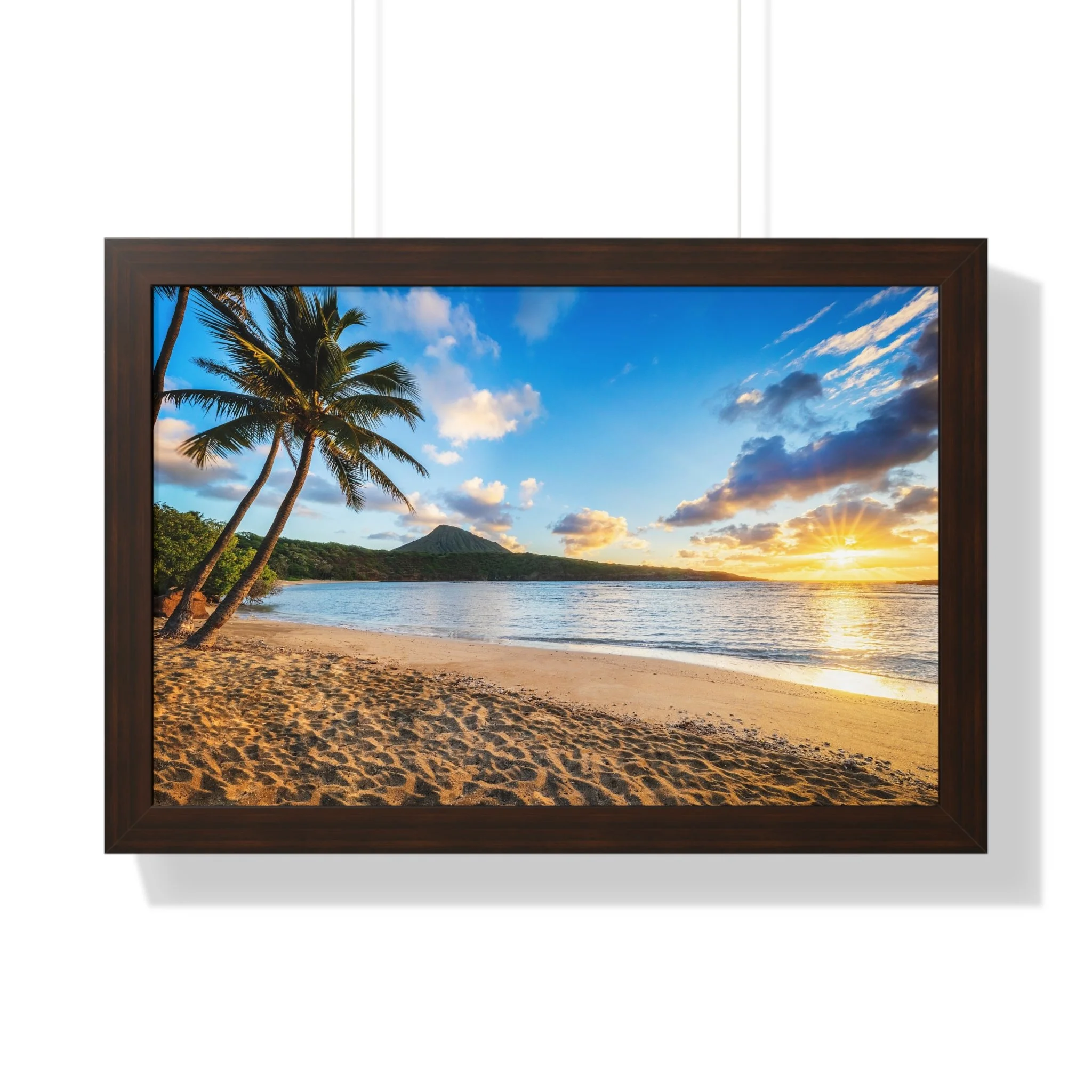 a1c6e7f961ef65b807ddce0b9549e5f8