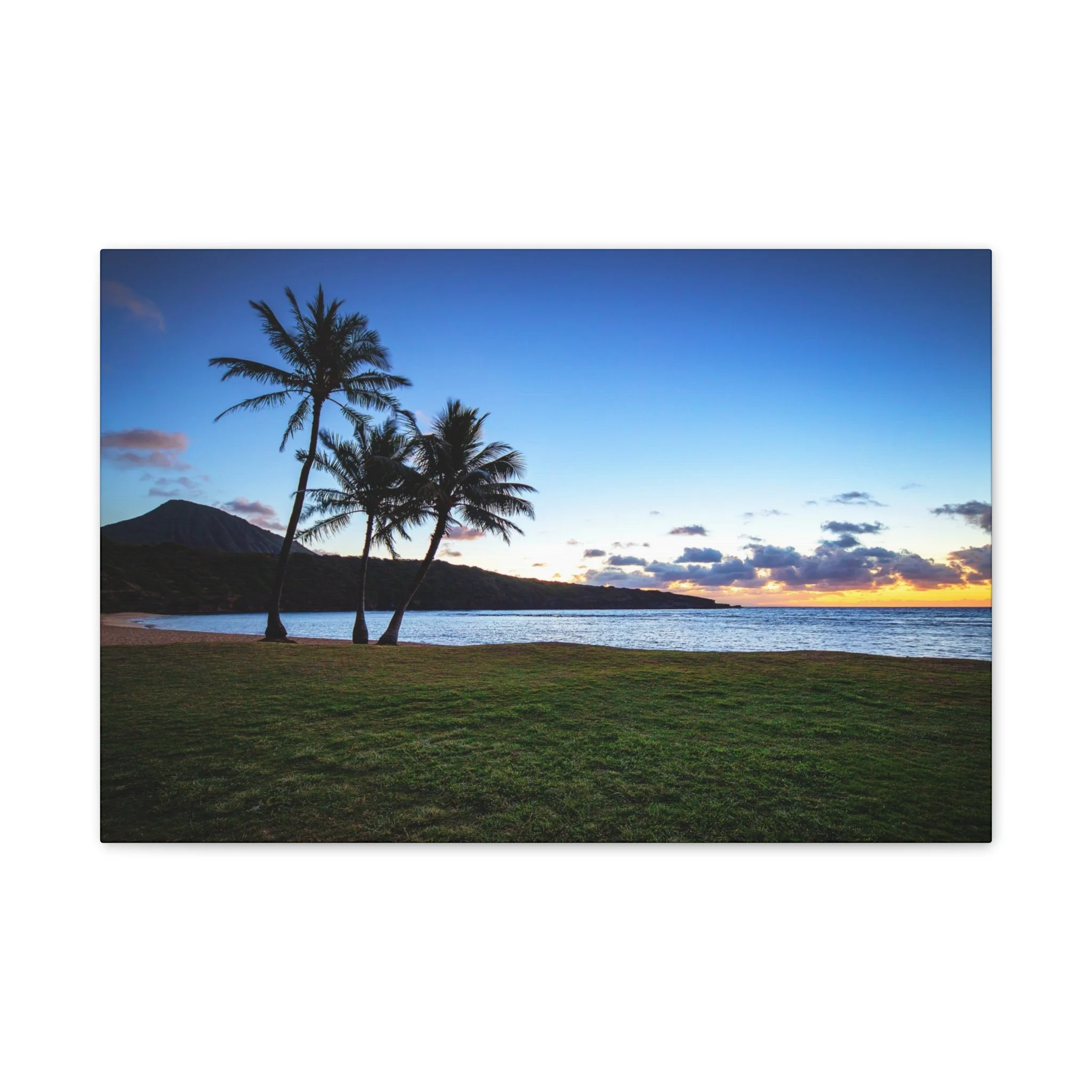 9eb8180cf9614d983c8903c699265f02