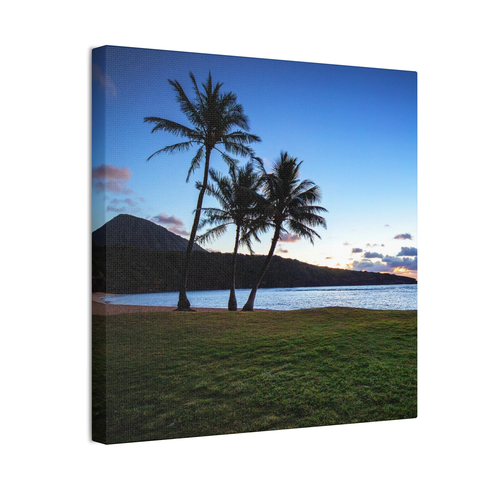 2cc2a3fdfb86a558b328f4d6275ee561