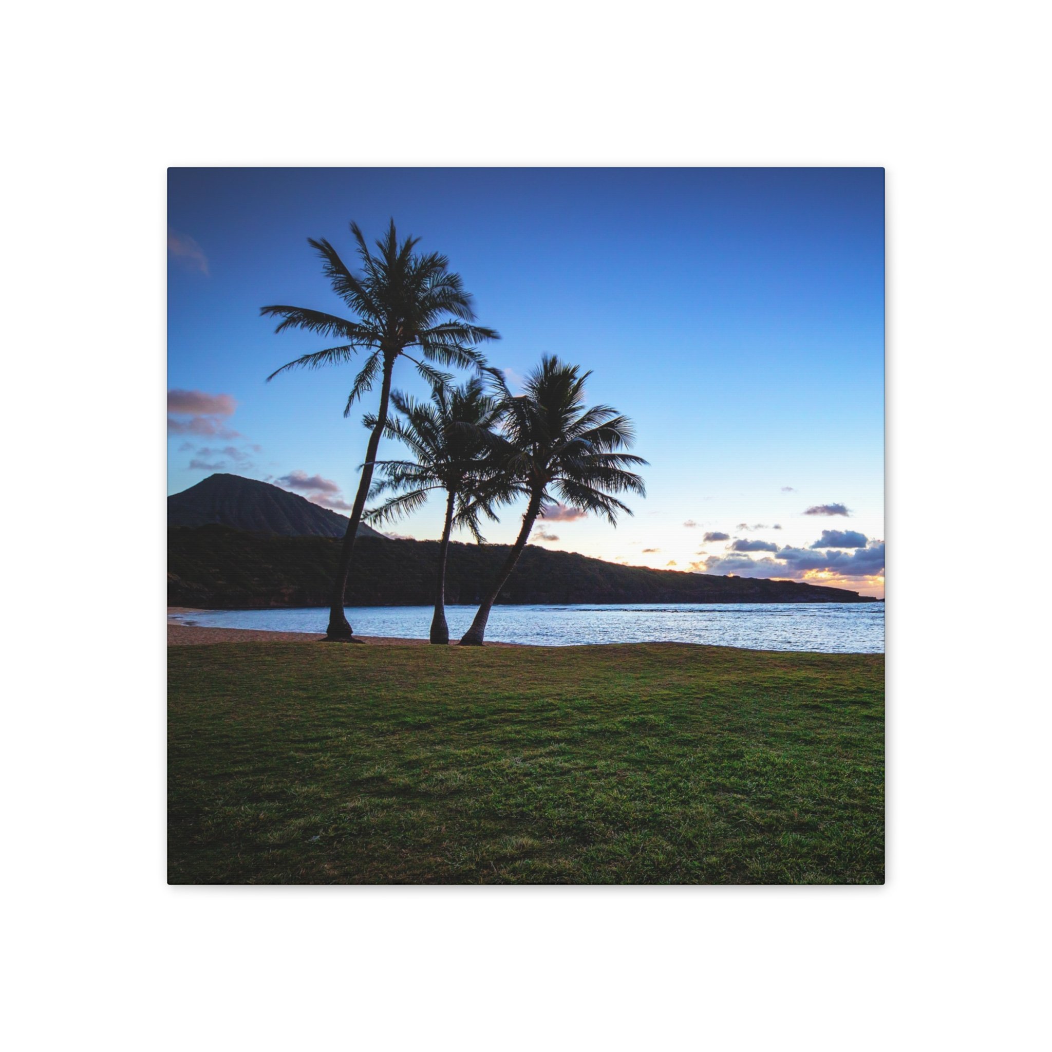 40697a5e6665842a371b3489cddd8920