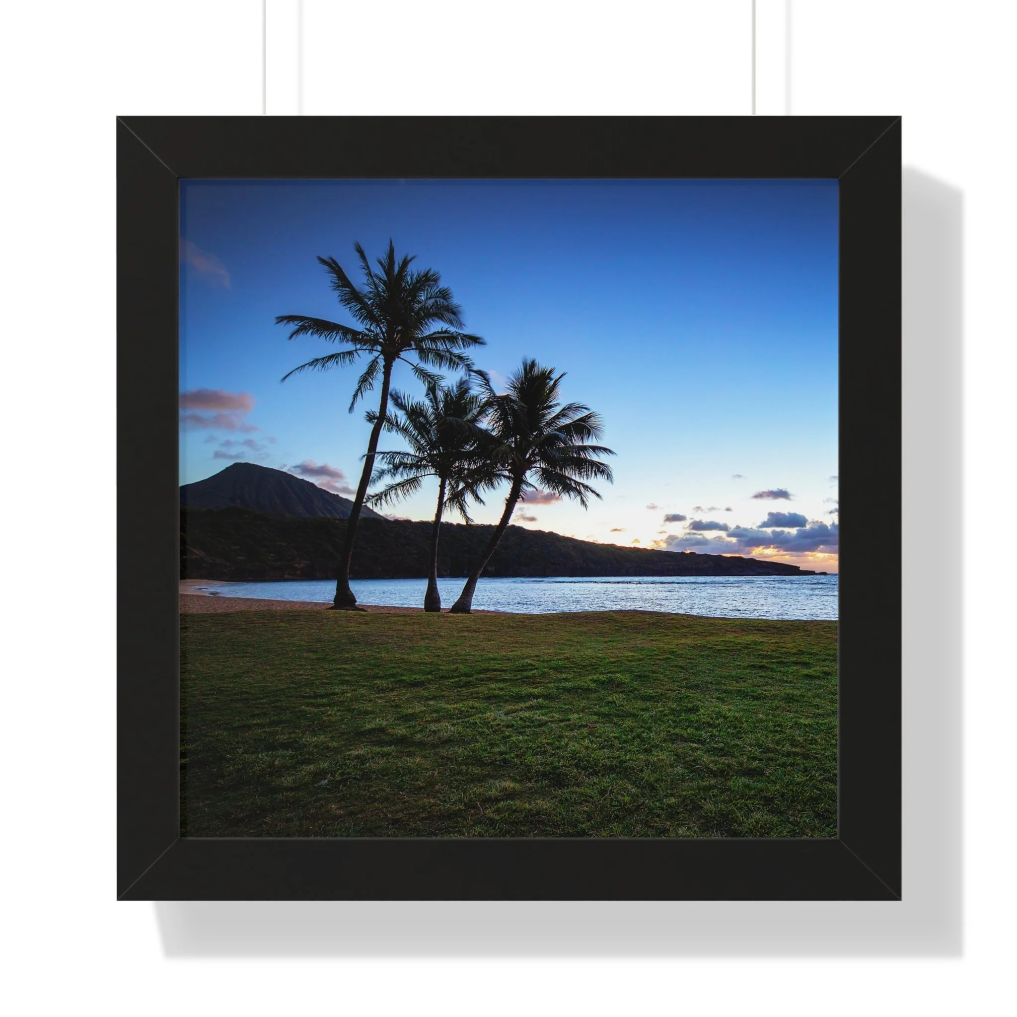 6b08fd55565b49afed87d48bb8fc1242