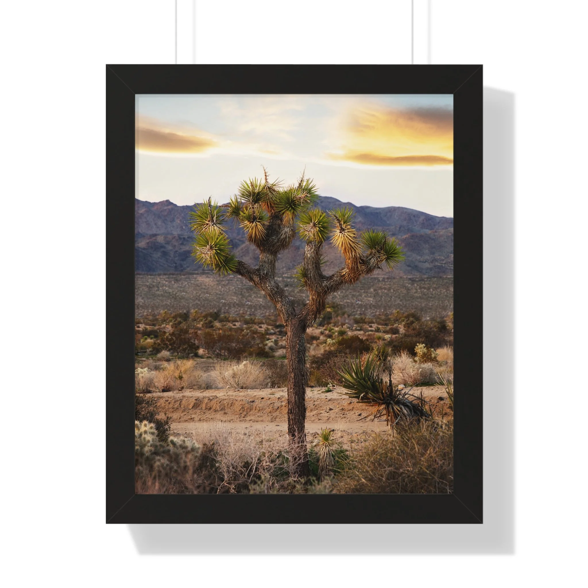 93459bc3b6d441ff1a6f84785aa1d3d6