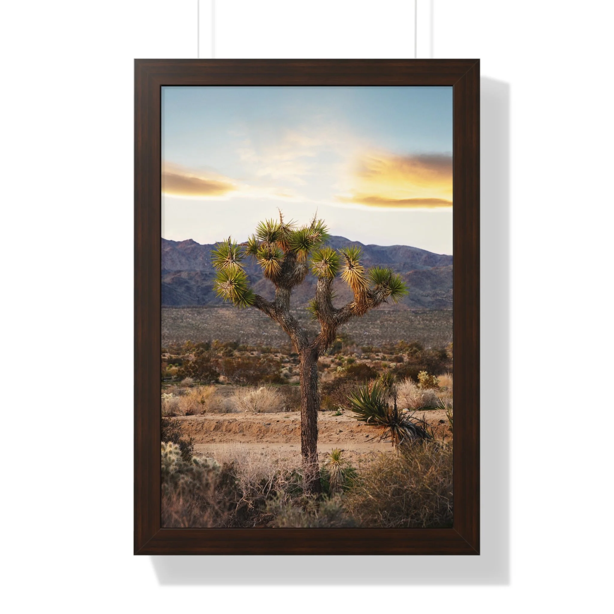 14183c1e0aca70734110c5dab014ec88