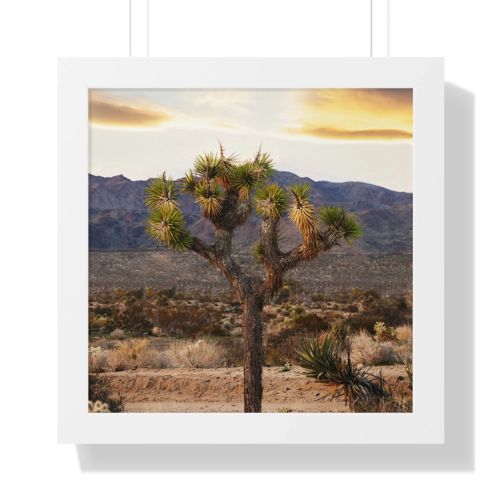 cba28f2639ab80d382fb72ad193644fe