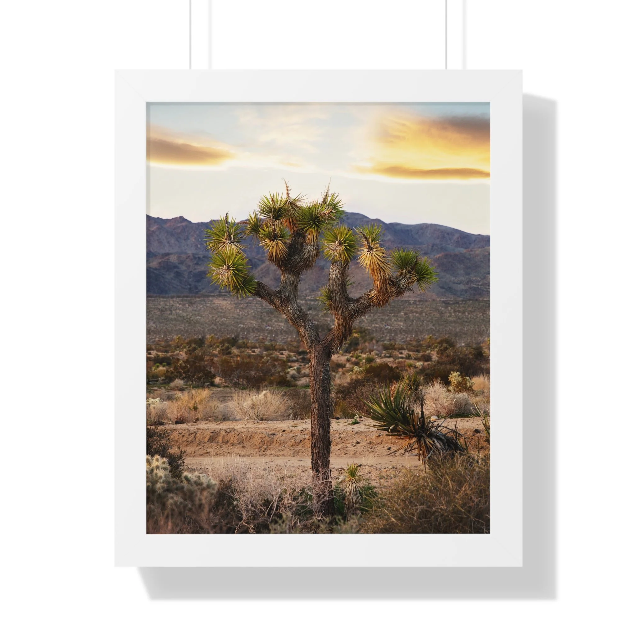 aa0226b3f078e54095980faf16b0bfcb