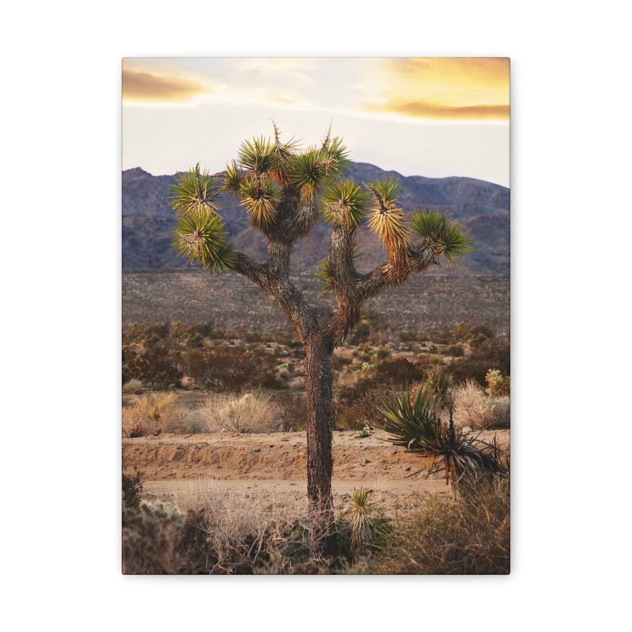 816f1a1686c56d9751d8b7f1dc14050b