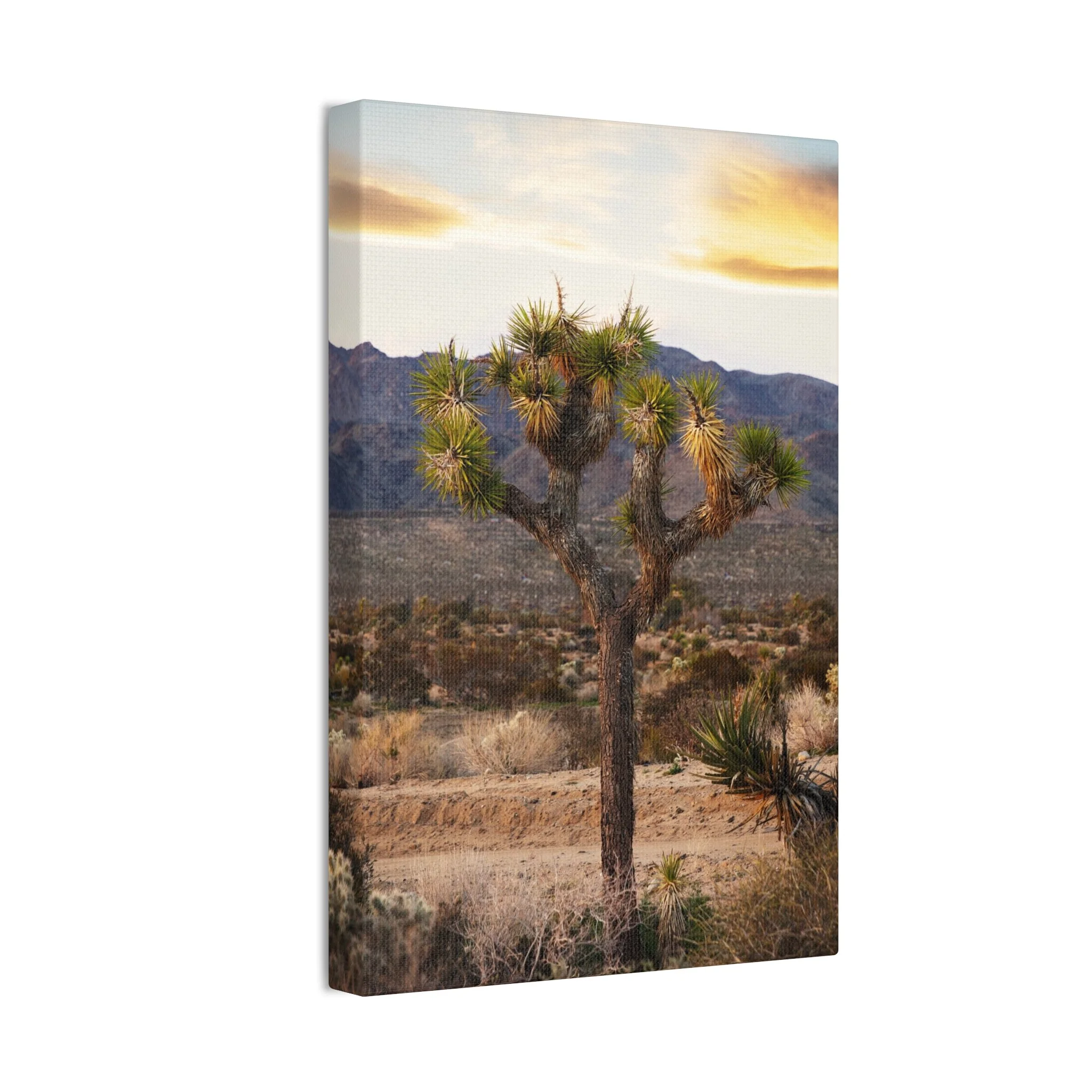 aefe9038dd605f068bfb661ca361dac8