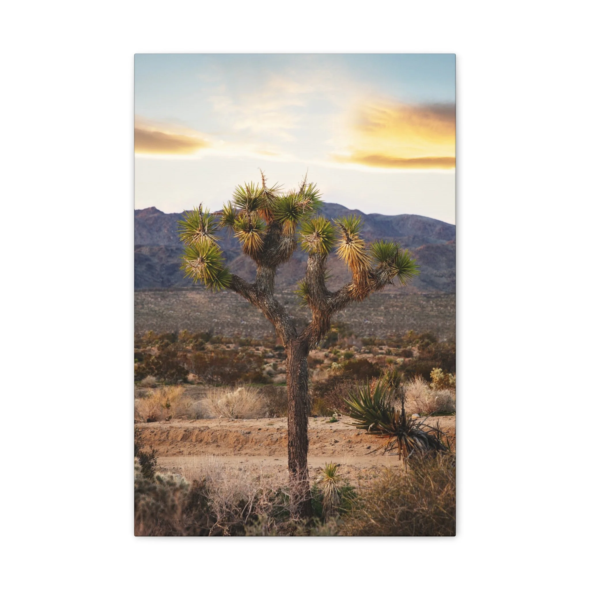 b17cd14b7c3a05f47cec99da2fcbdf07