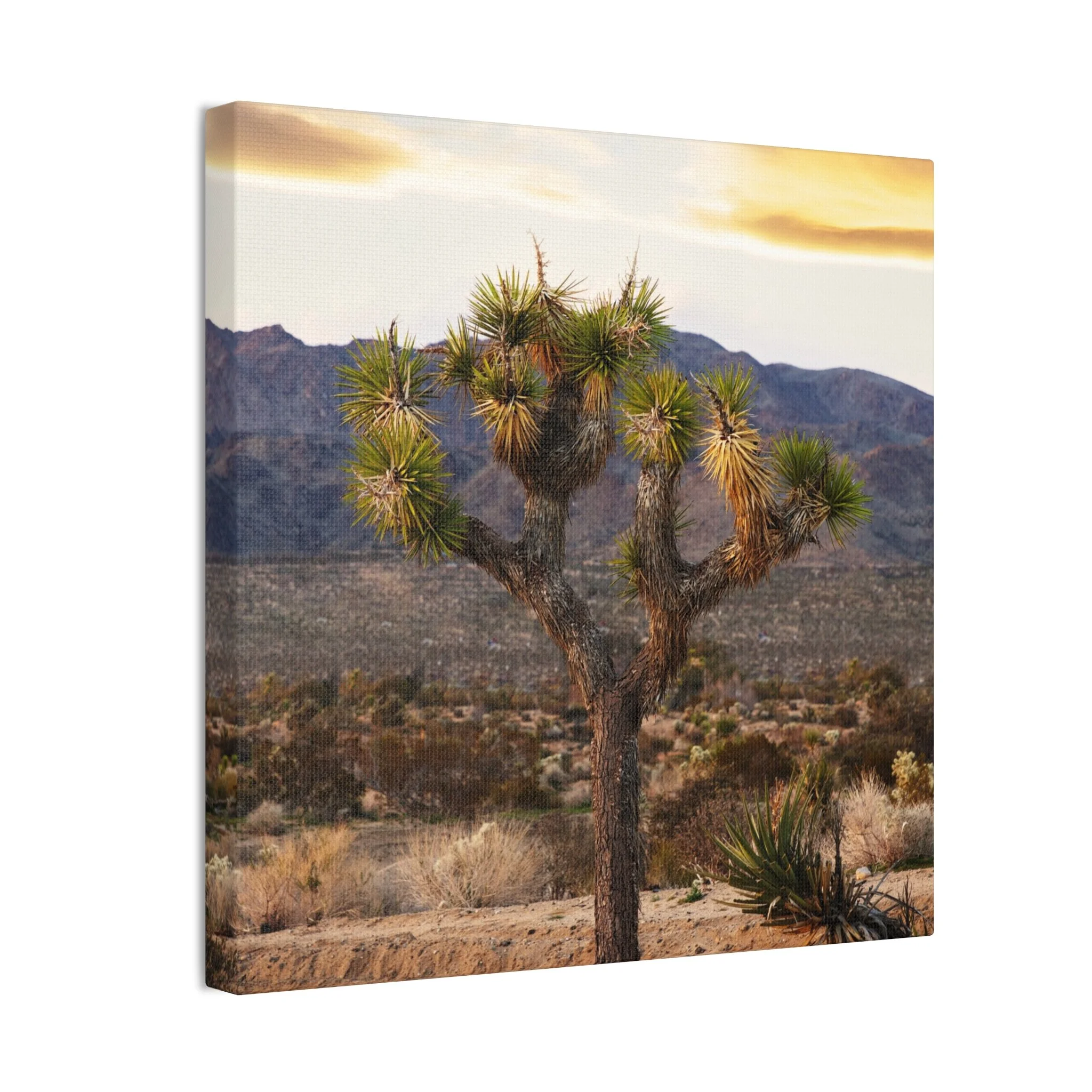 29c1fe956c56cb748904deba2b130000