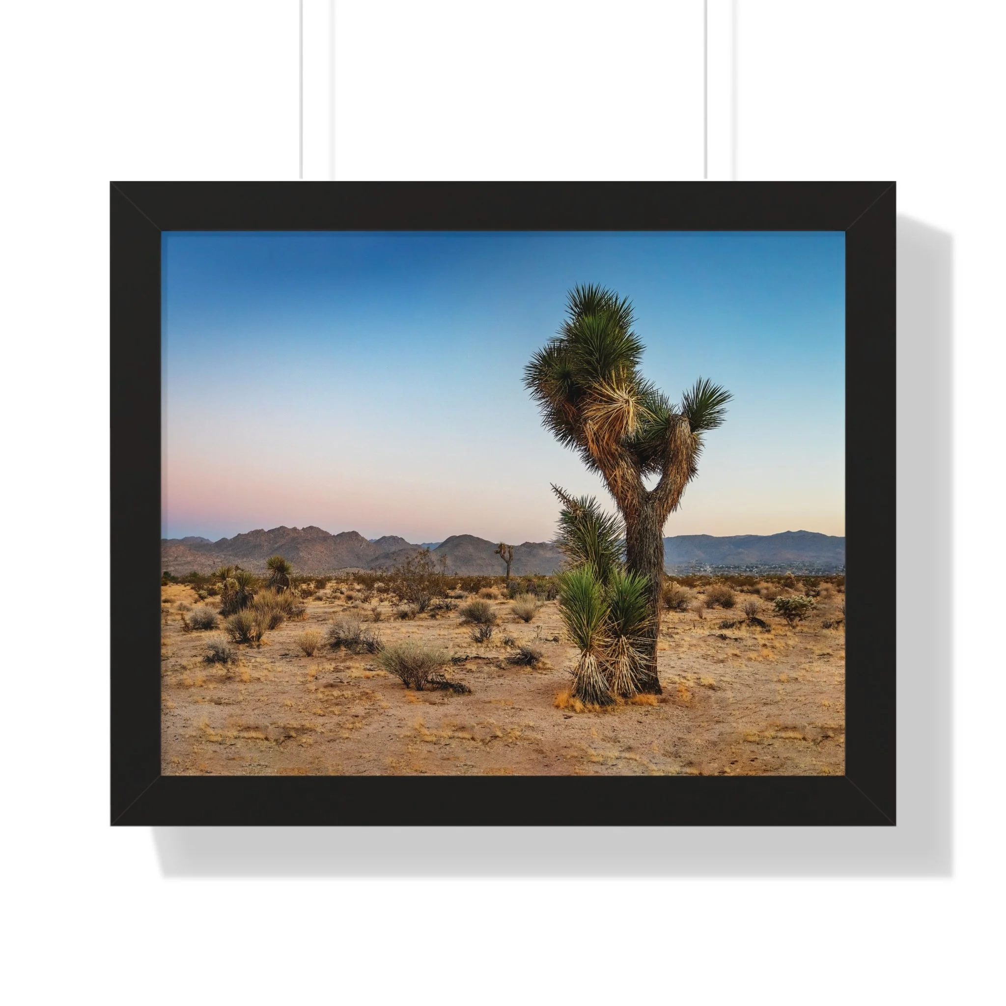 2afb156d0ac158d57cbb96878c10c5cf