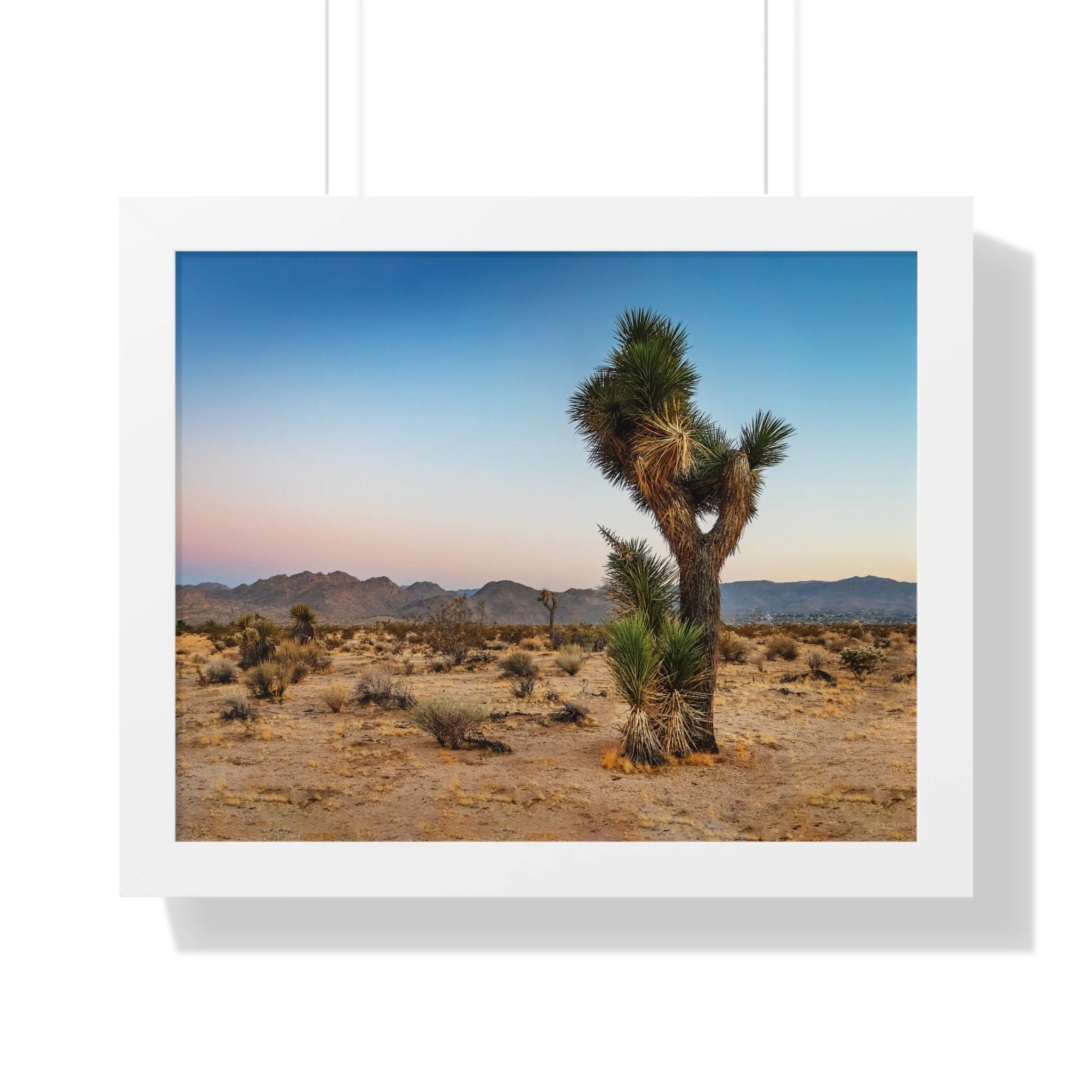 a38ee74ebec75c202749880fc804188f