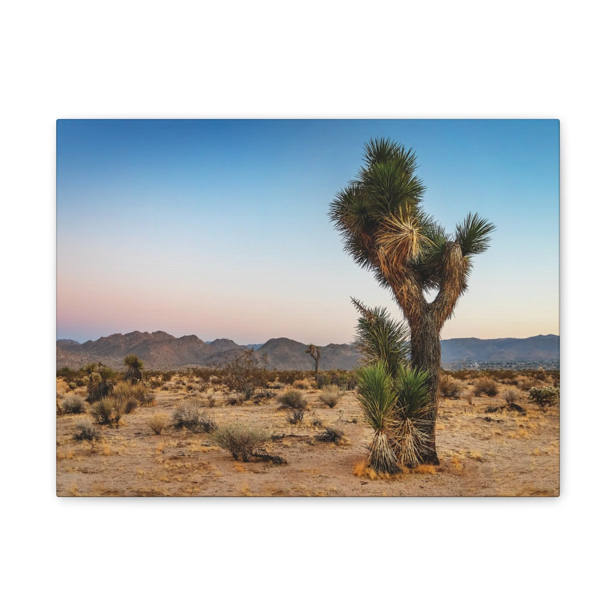 fd1cc39b370e2f593bd95e238f646652