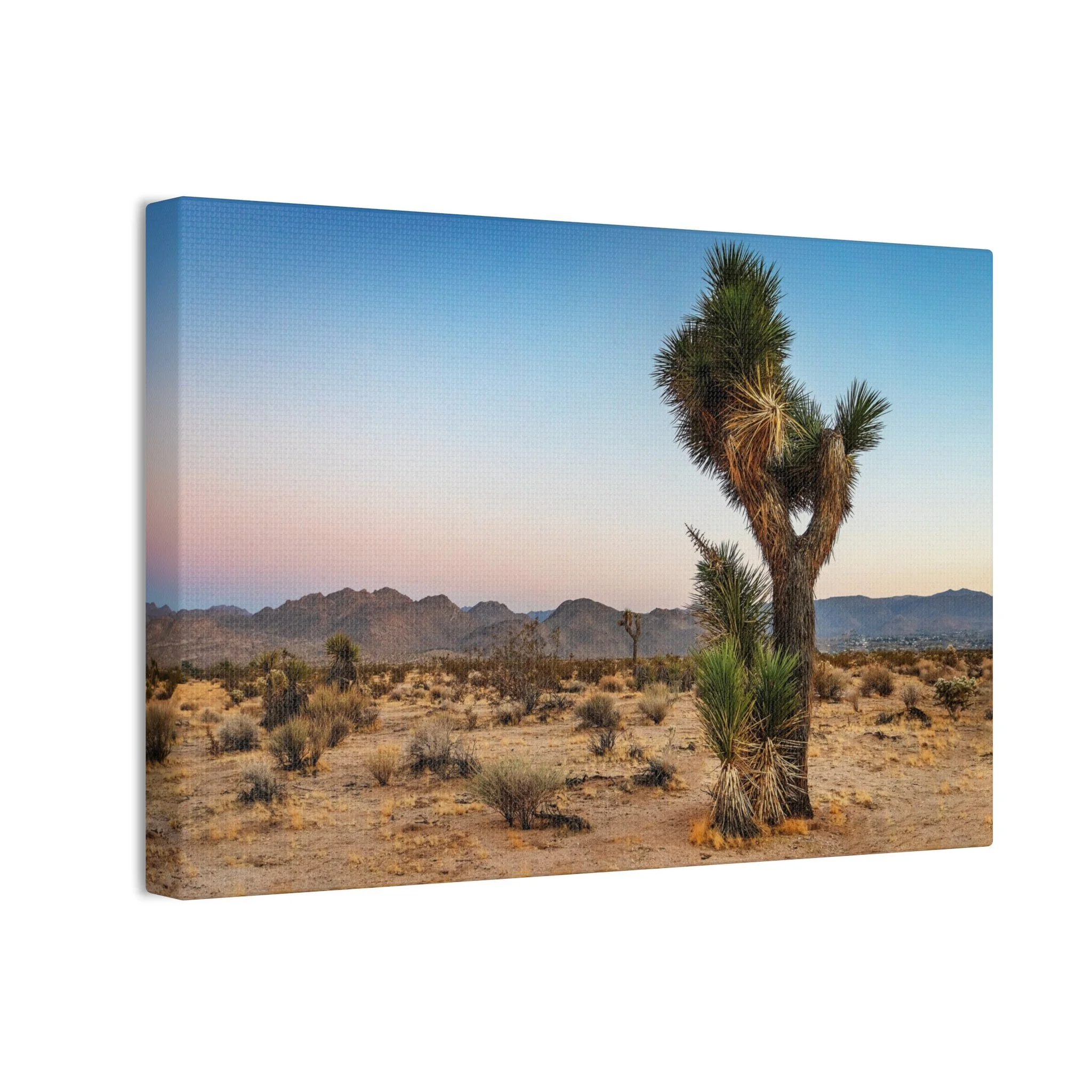 b0e6620f3dce100fa3a61cf5aa77a570