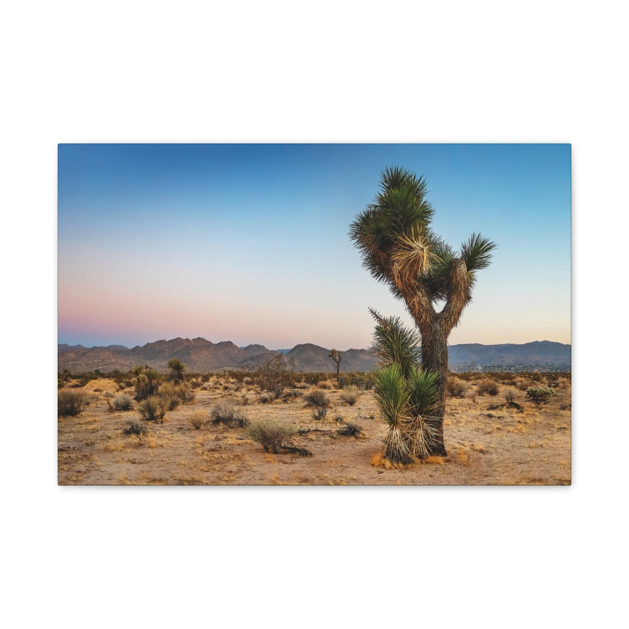 8c3ffa6dd61abe7c695f84877c41ffa6