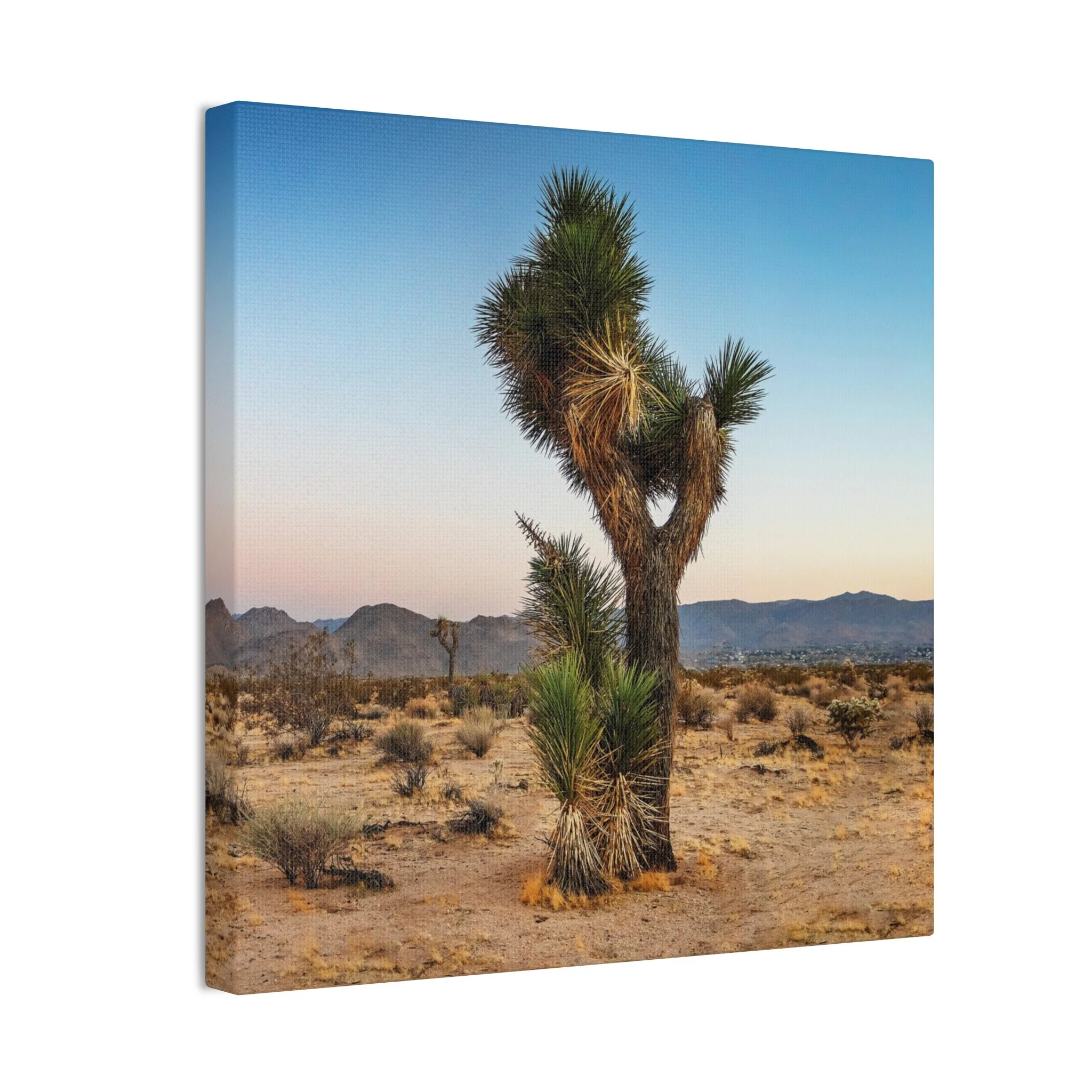 8e8a712a51f39daba93d9559db26b60a