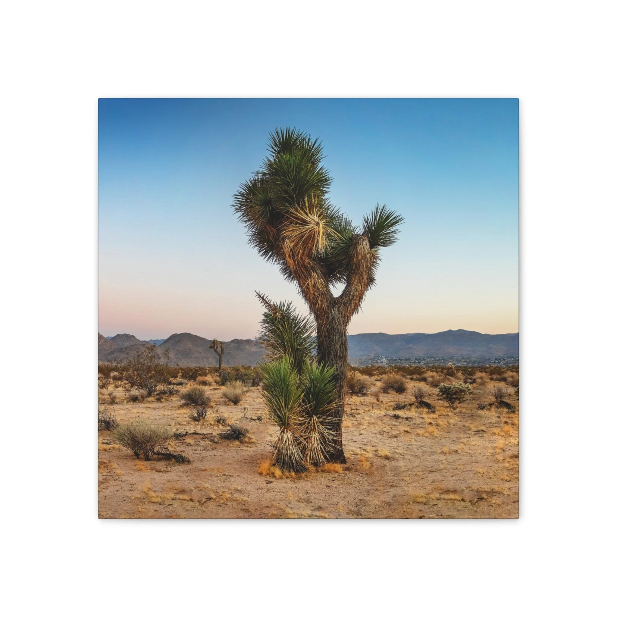 4f6806fd06aa6c1fadea1e65cc369197