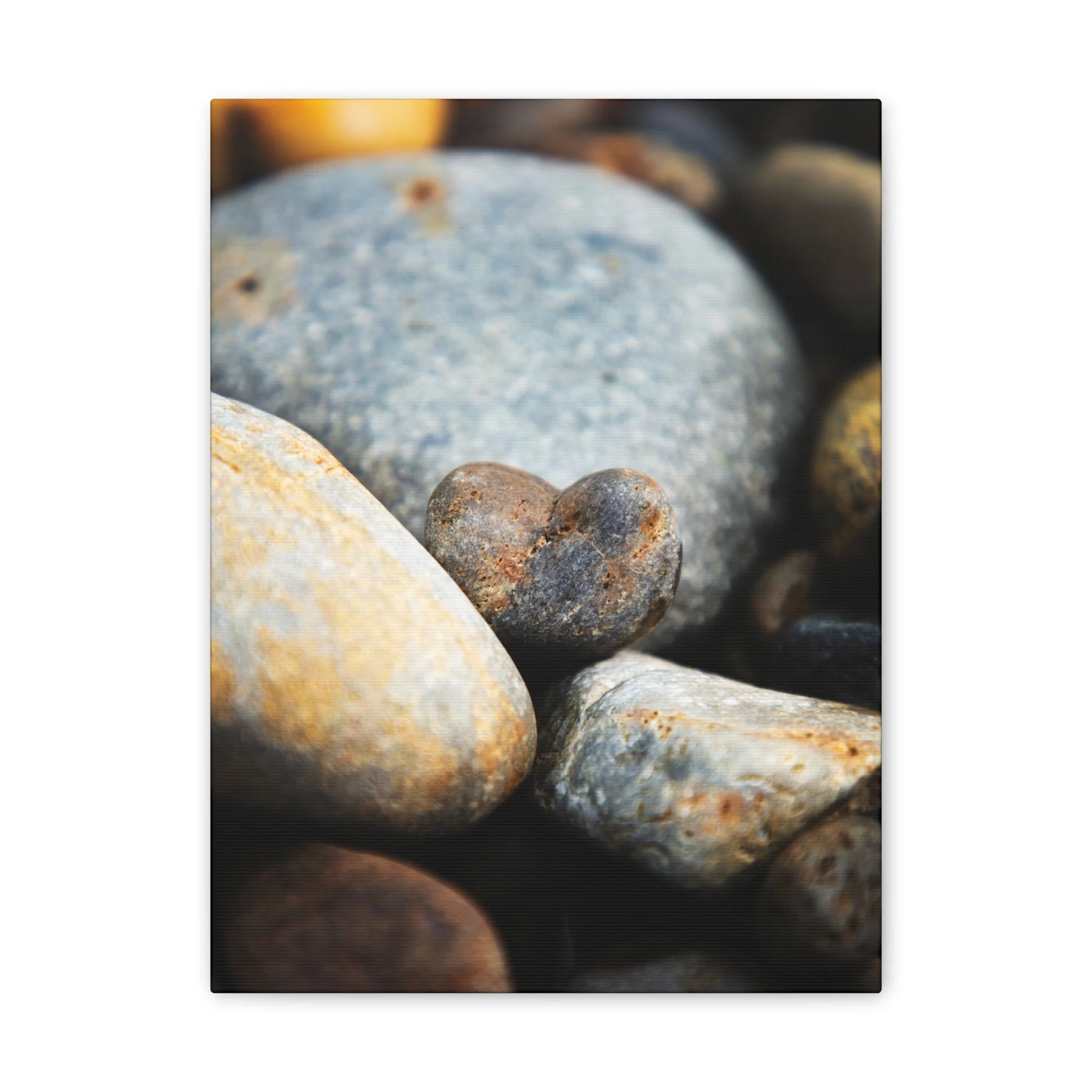 c64acf0d8fb9dcea4a21b0d49b4c2989