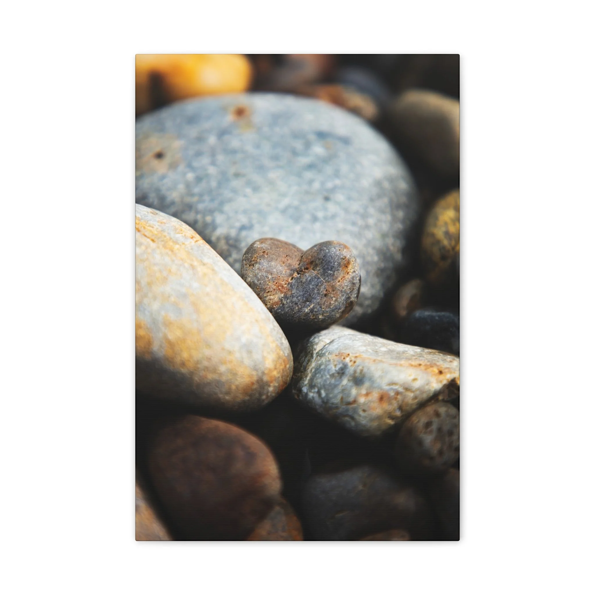 9468937e1d0ba3001bd729a65fec72d1