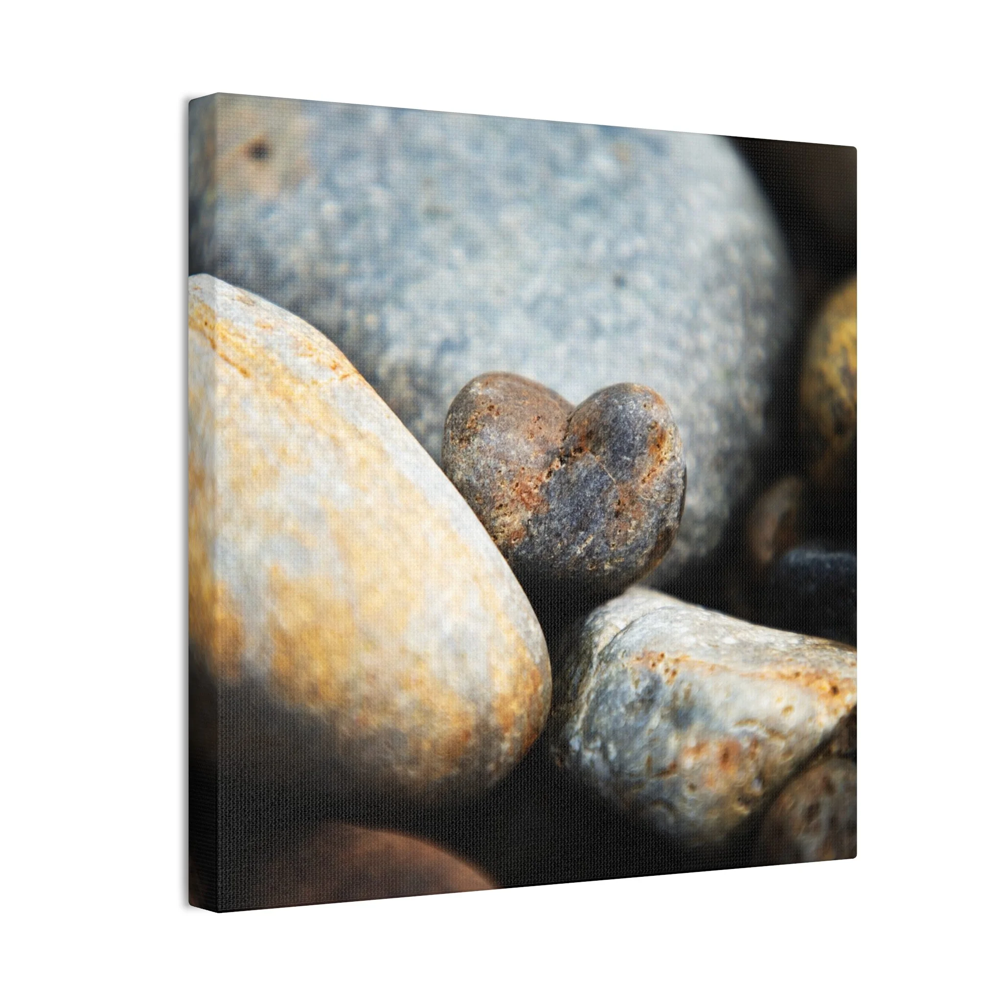 d1babc7295d7ce19f4cd23d3e65a3047