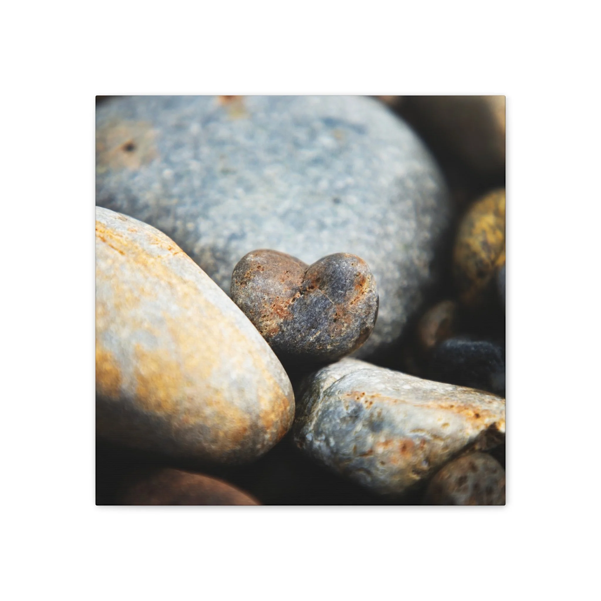 7292bfa36abdb069b57187cd306ced1b