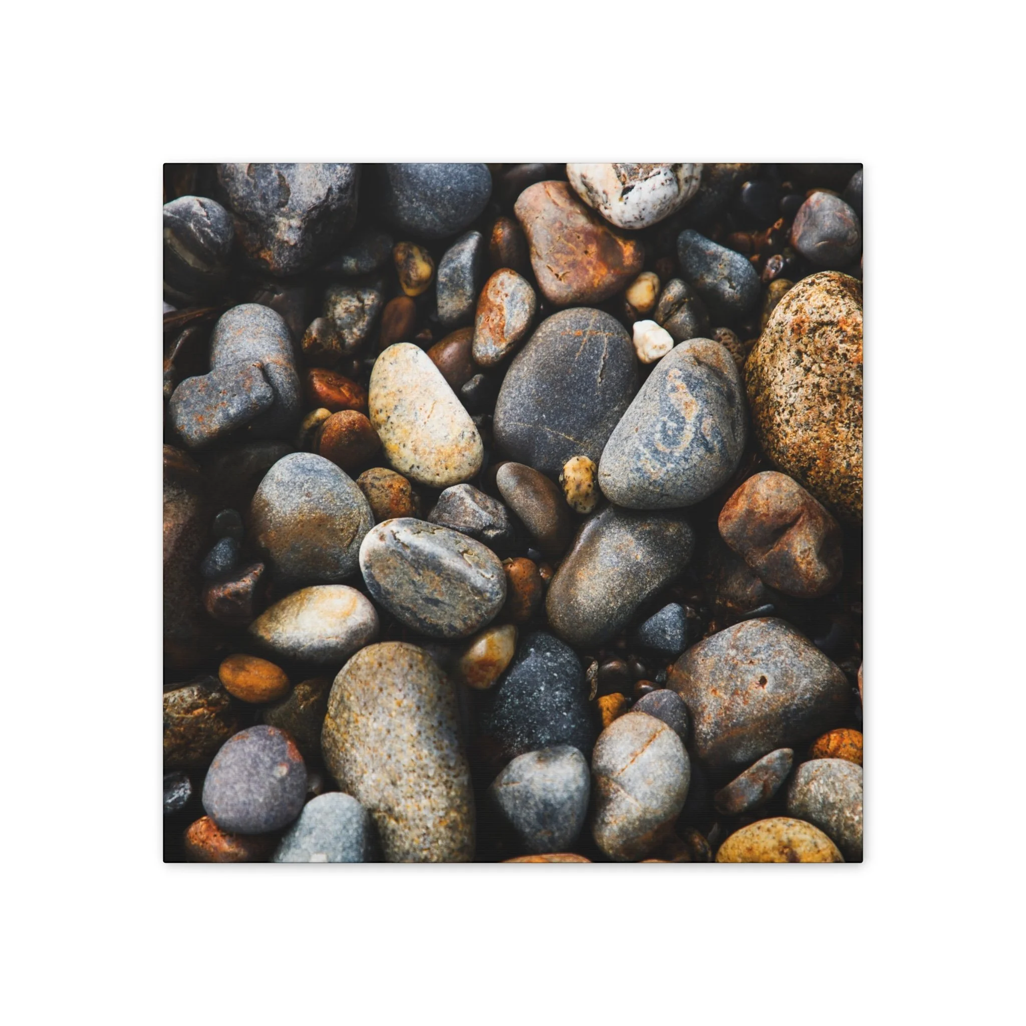 76727dd2afa7bf206d7dec2b69a8a3ee