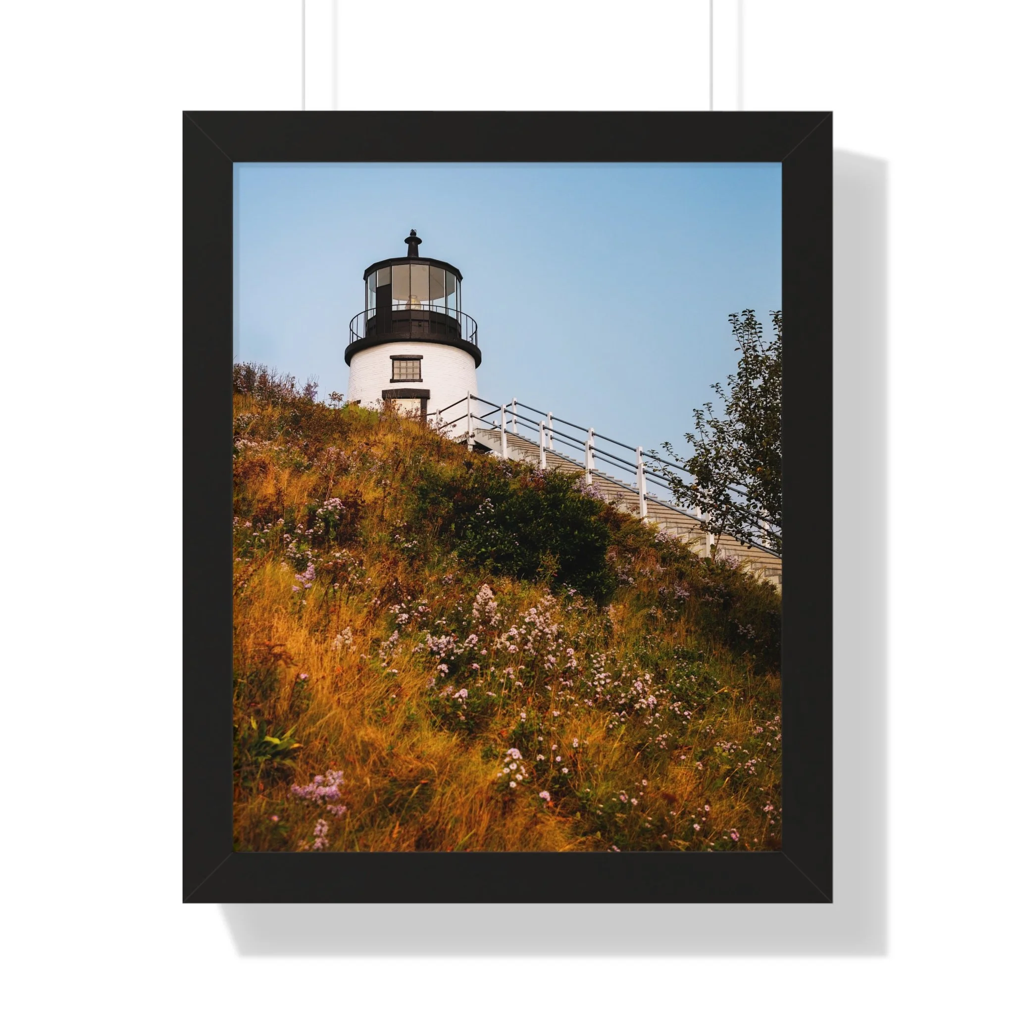 1626121a7f3f286a96c7e87d604f5ace