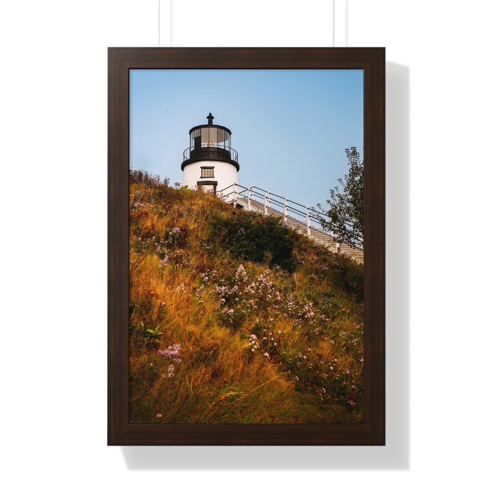 80ca0e8debfd2186ec1b82469d14e1e0