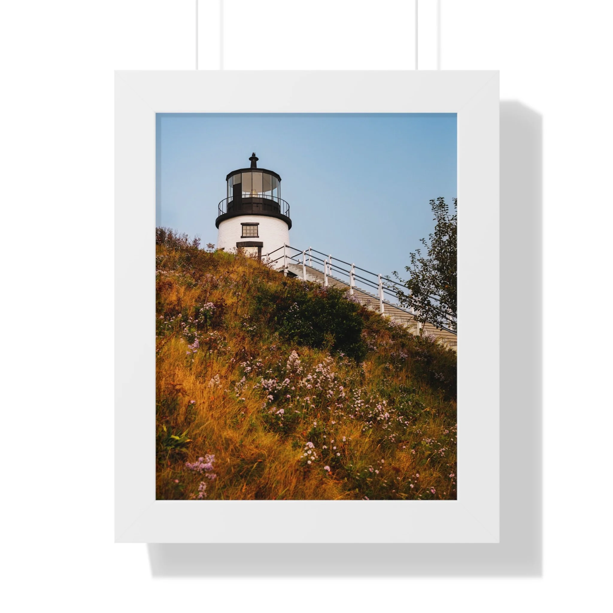 6e3faf73ac308f12b54023574fb93f21