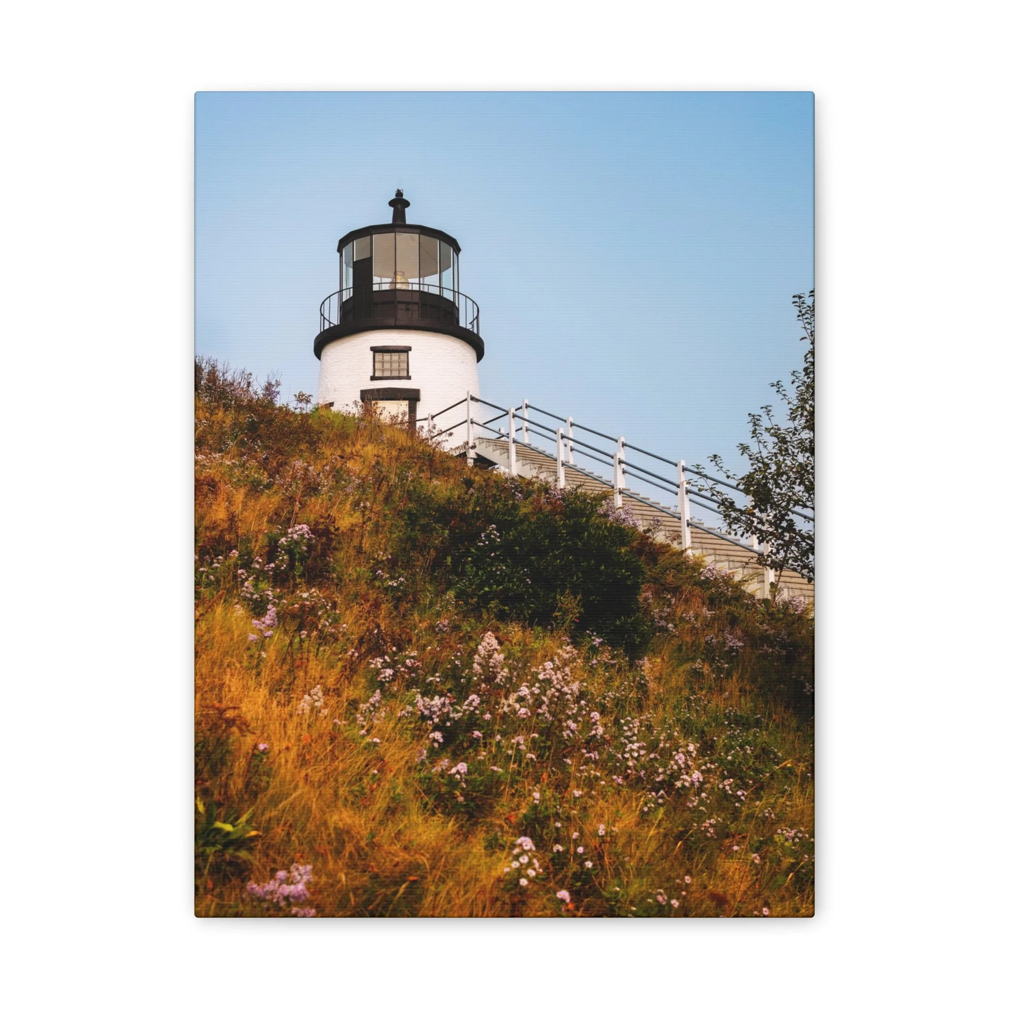 134d1a3aa05ef6cc869bd7f0e5742fcb