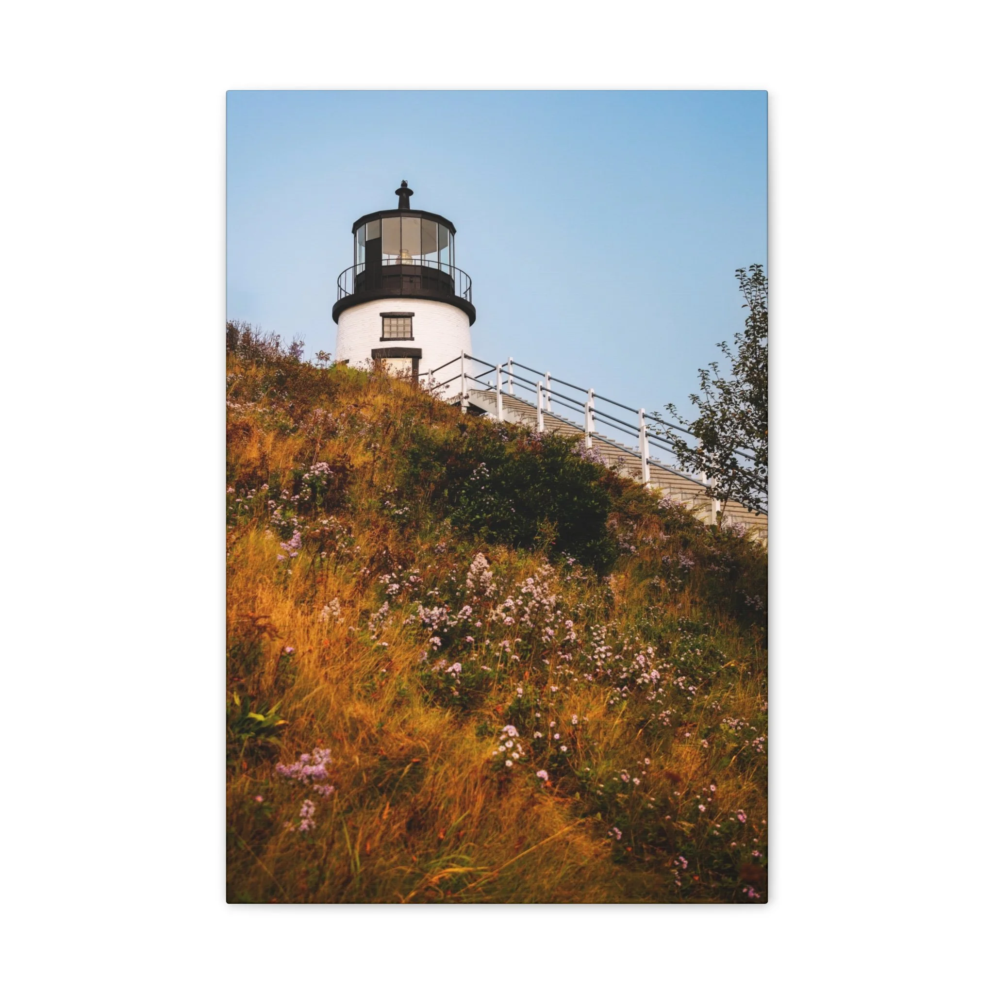 976c76192df96246b64a67c934e7c87d