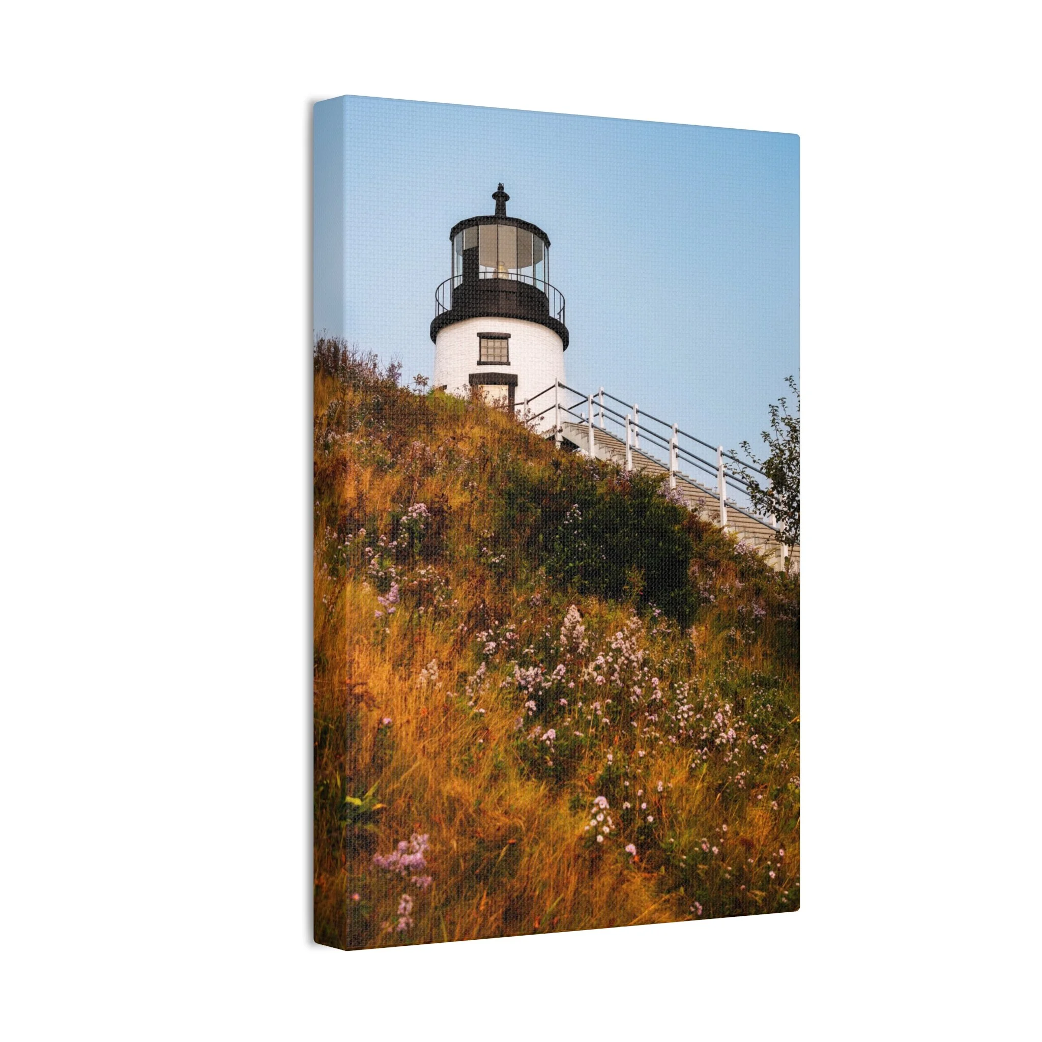 0e320143ff7c181ad239f157a7df397a