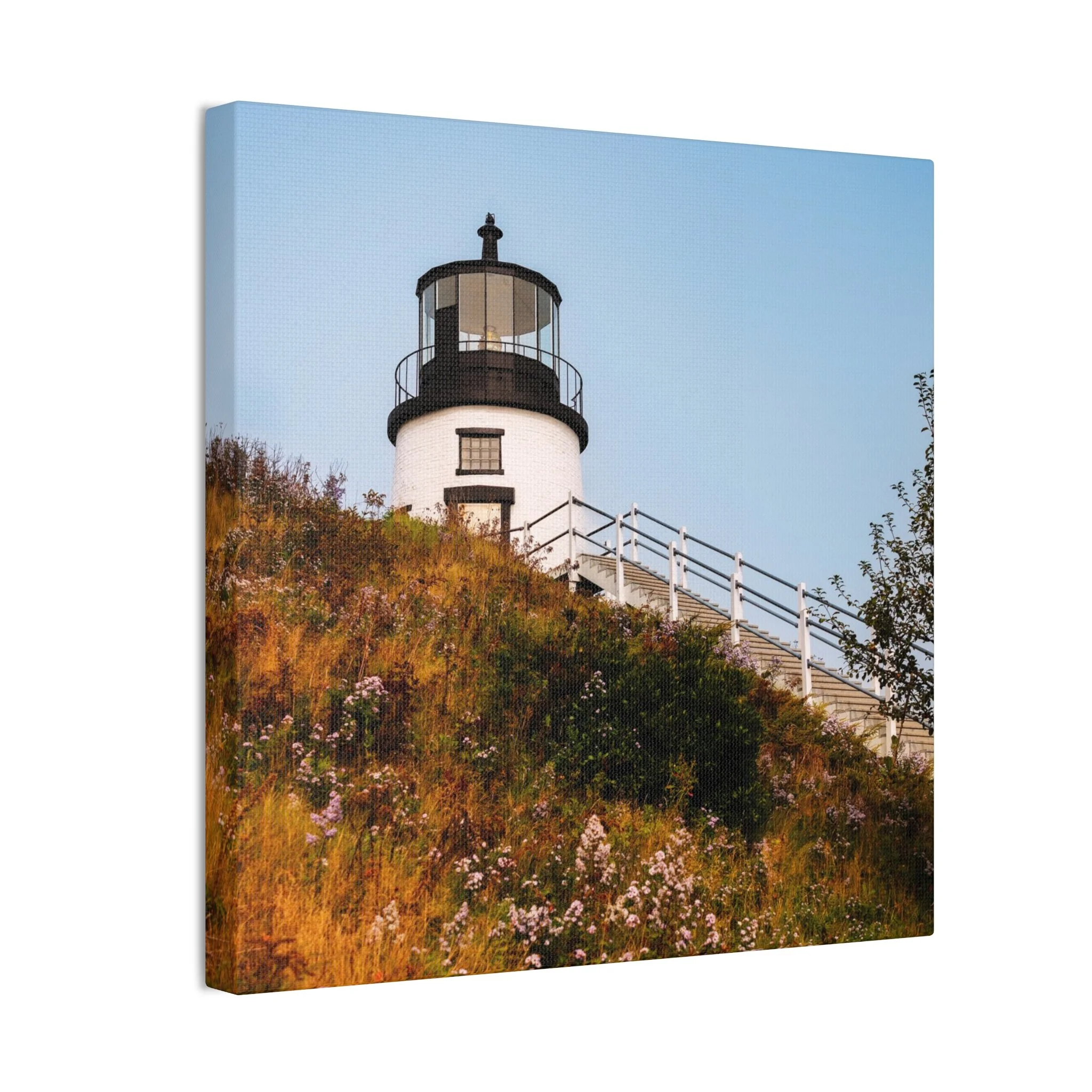 a1c7eff1ee18dcc17225592ddd7e22d2