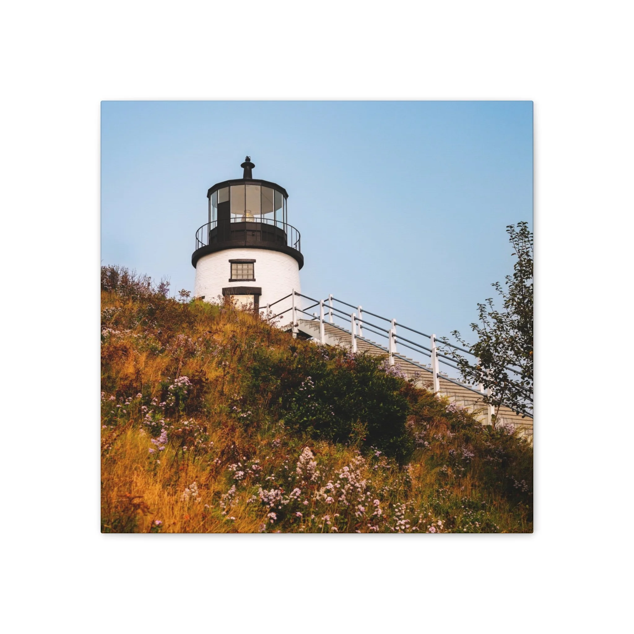 c5d6e2f70493cb7bbe2f7acd88443968