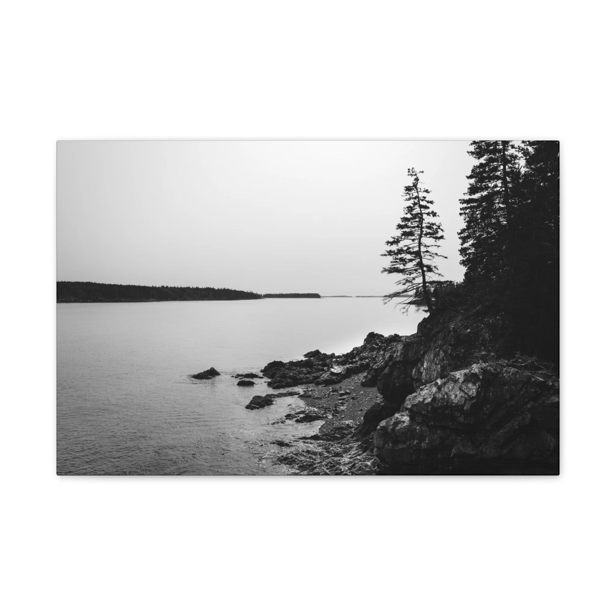 988a27deb39a2f6a25223121f6f542f4