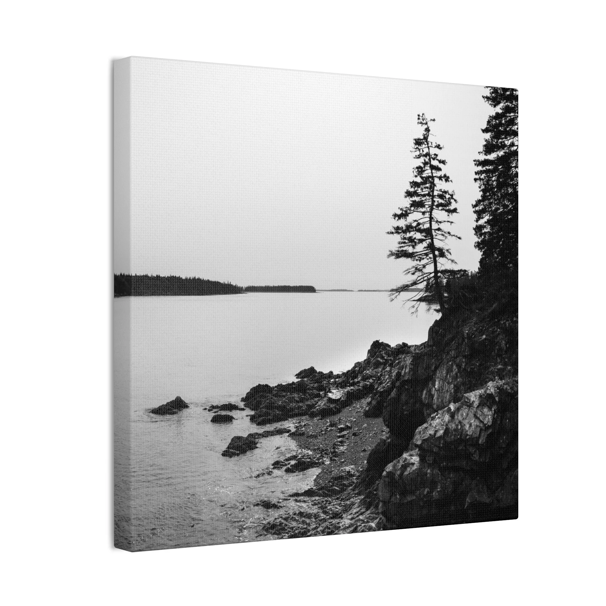 e534f93ee361c0f2f1734ad18395ef48