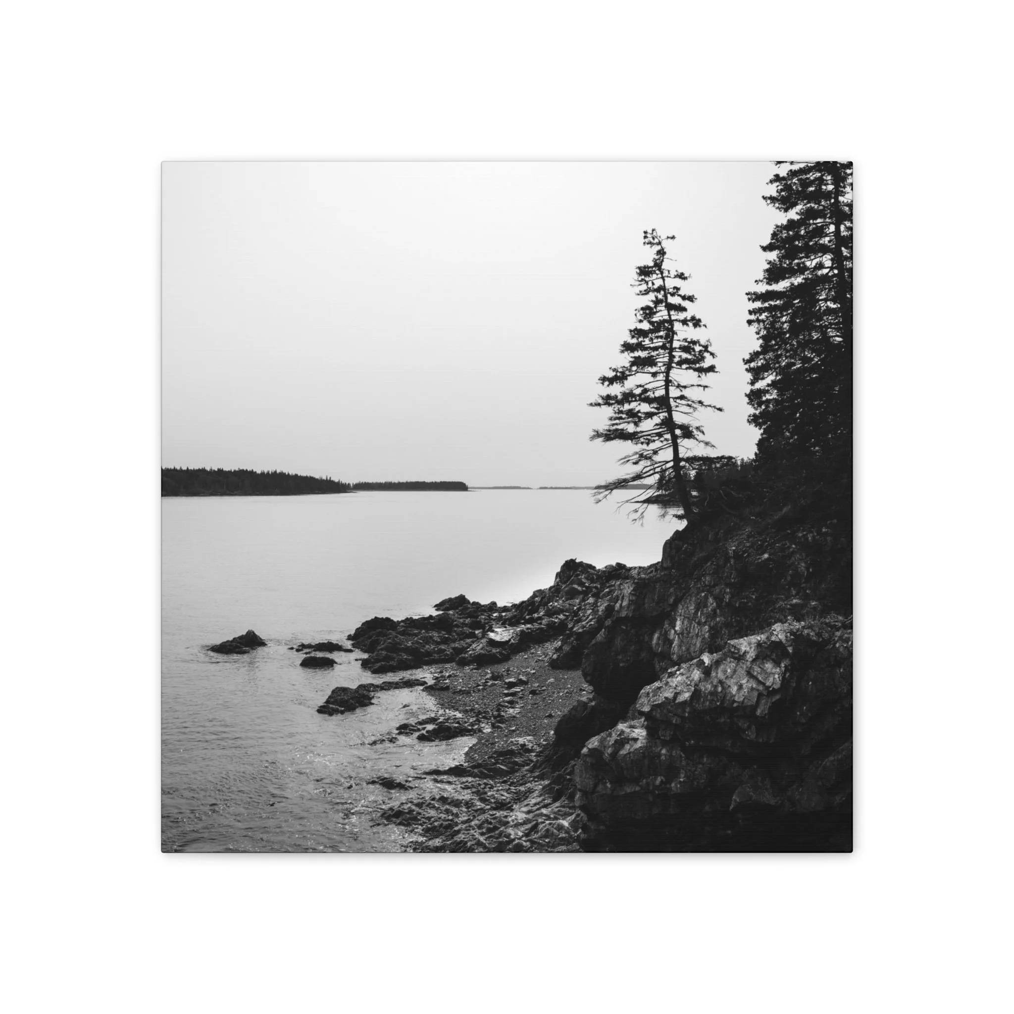 c15b1de661464bacbaffcce9e118f64c