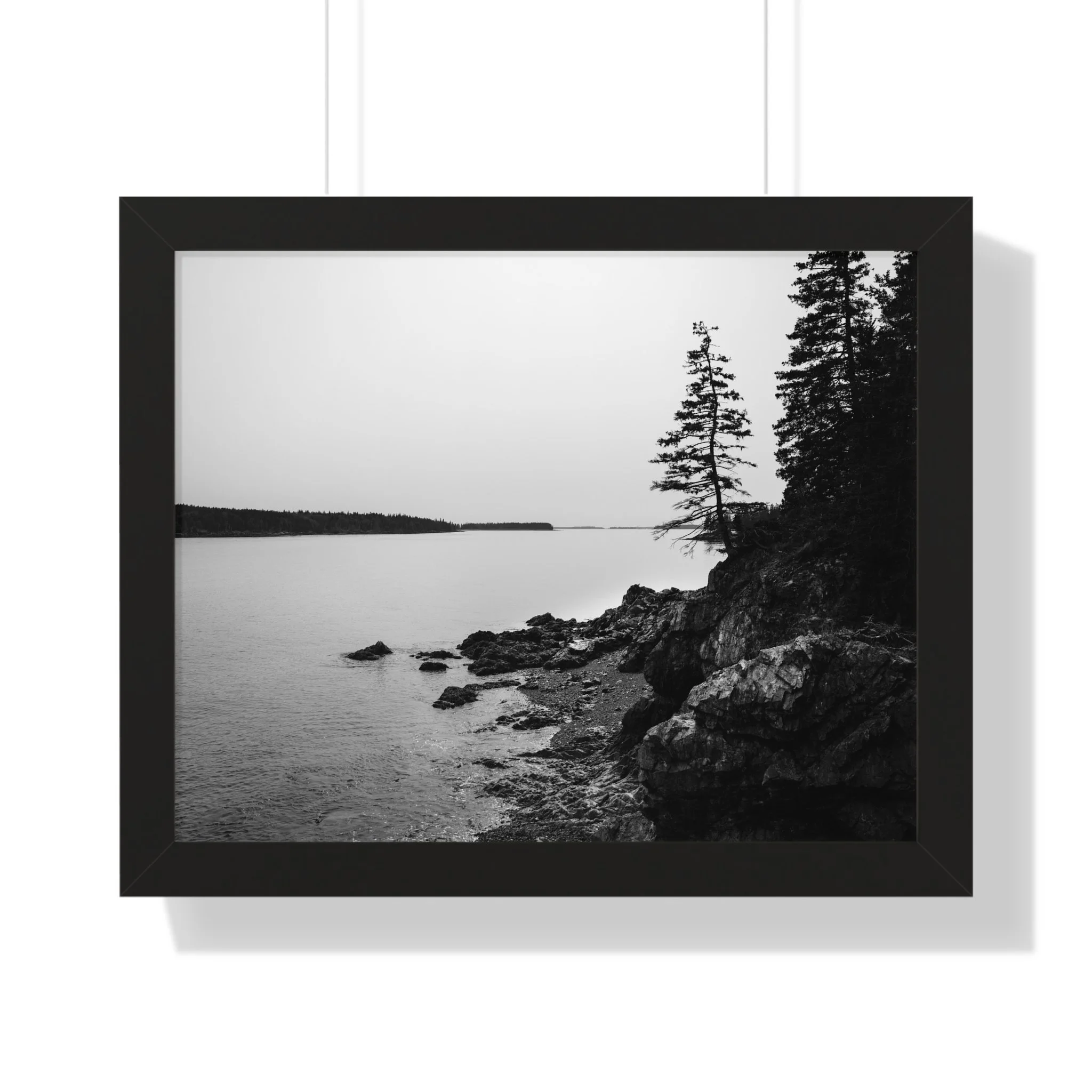 6bc17c9f9748e7d8adbd7f6c71041482