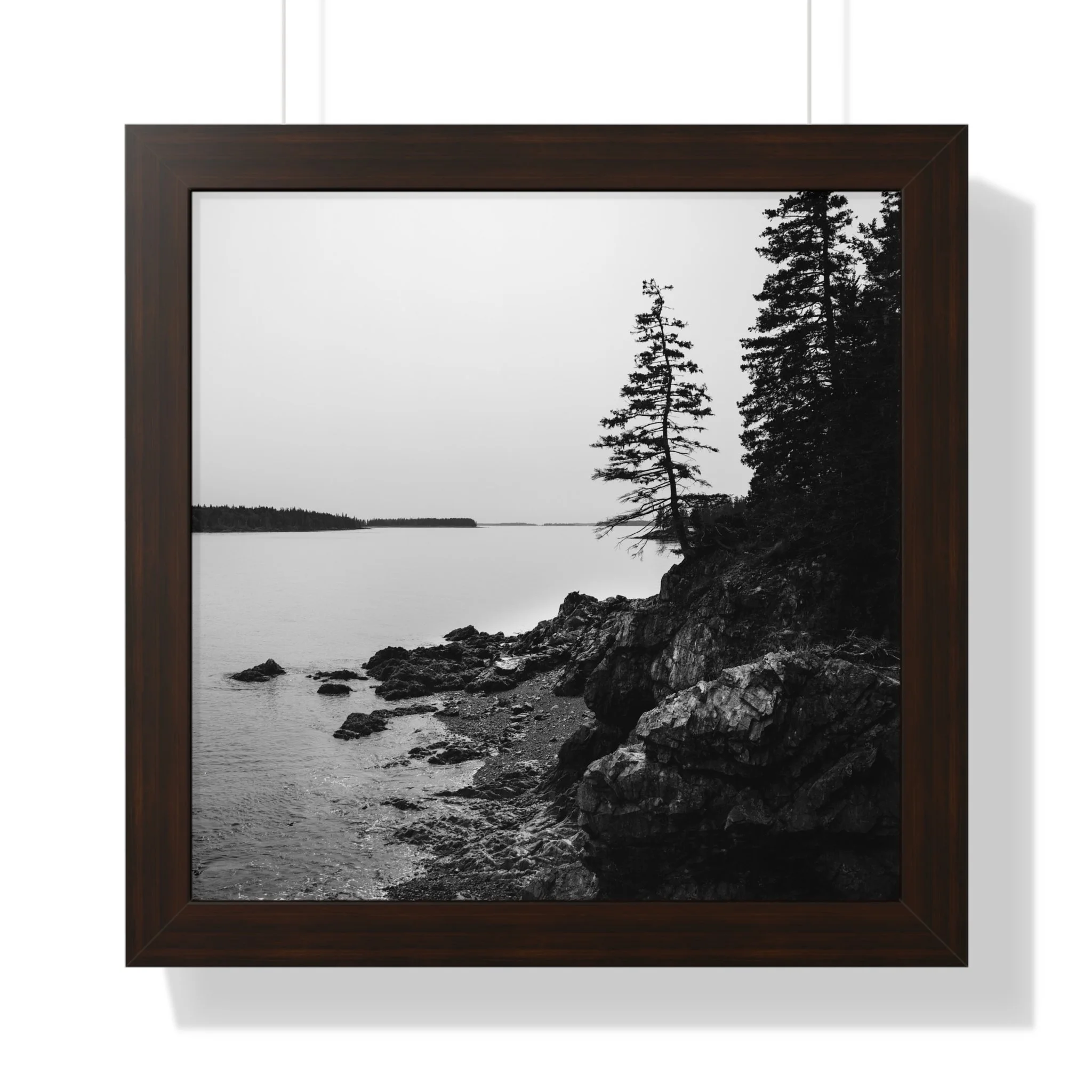 3c640c331352c5769ae60172d4340faf