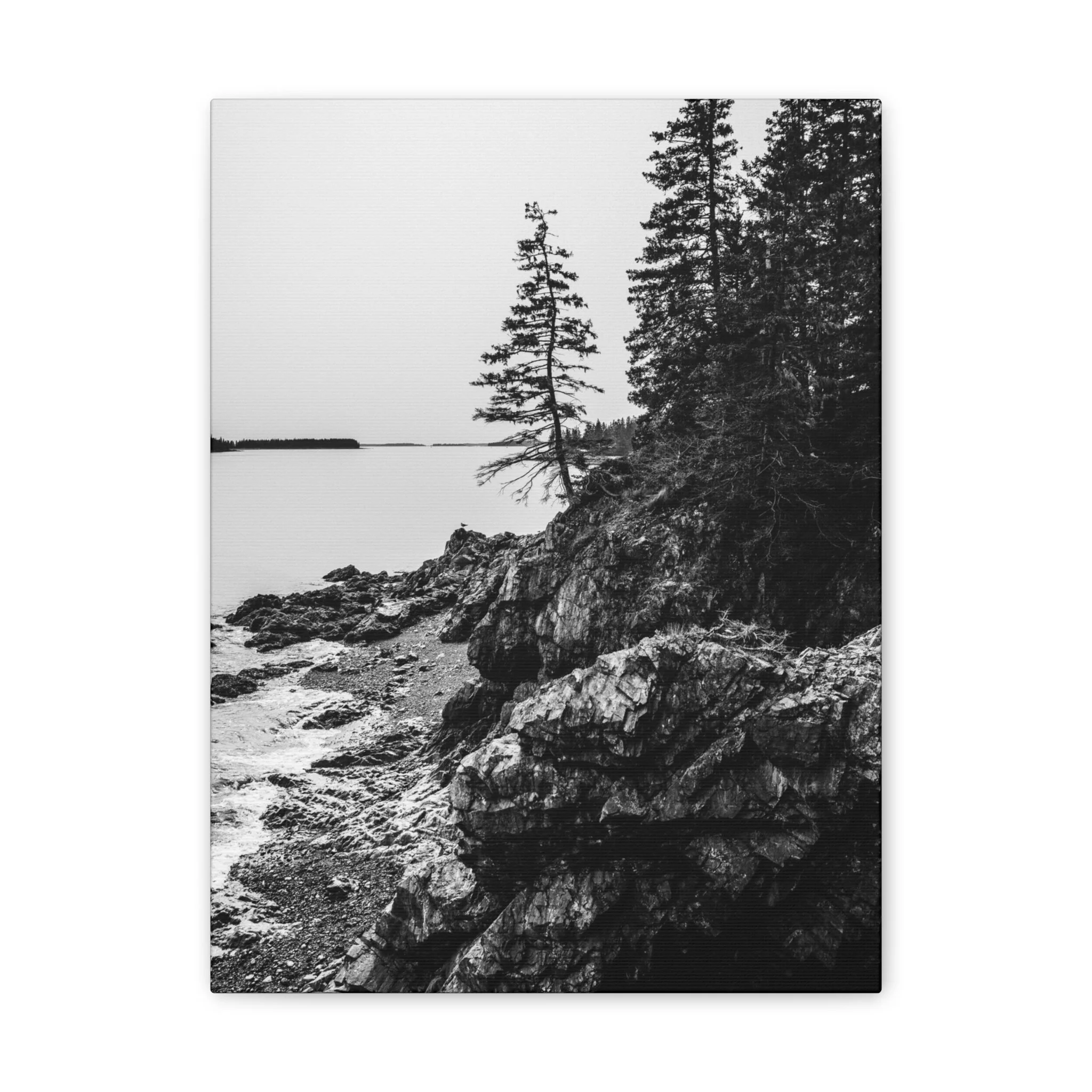 fd140d0e945dcd563a53b850134db921