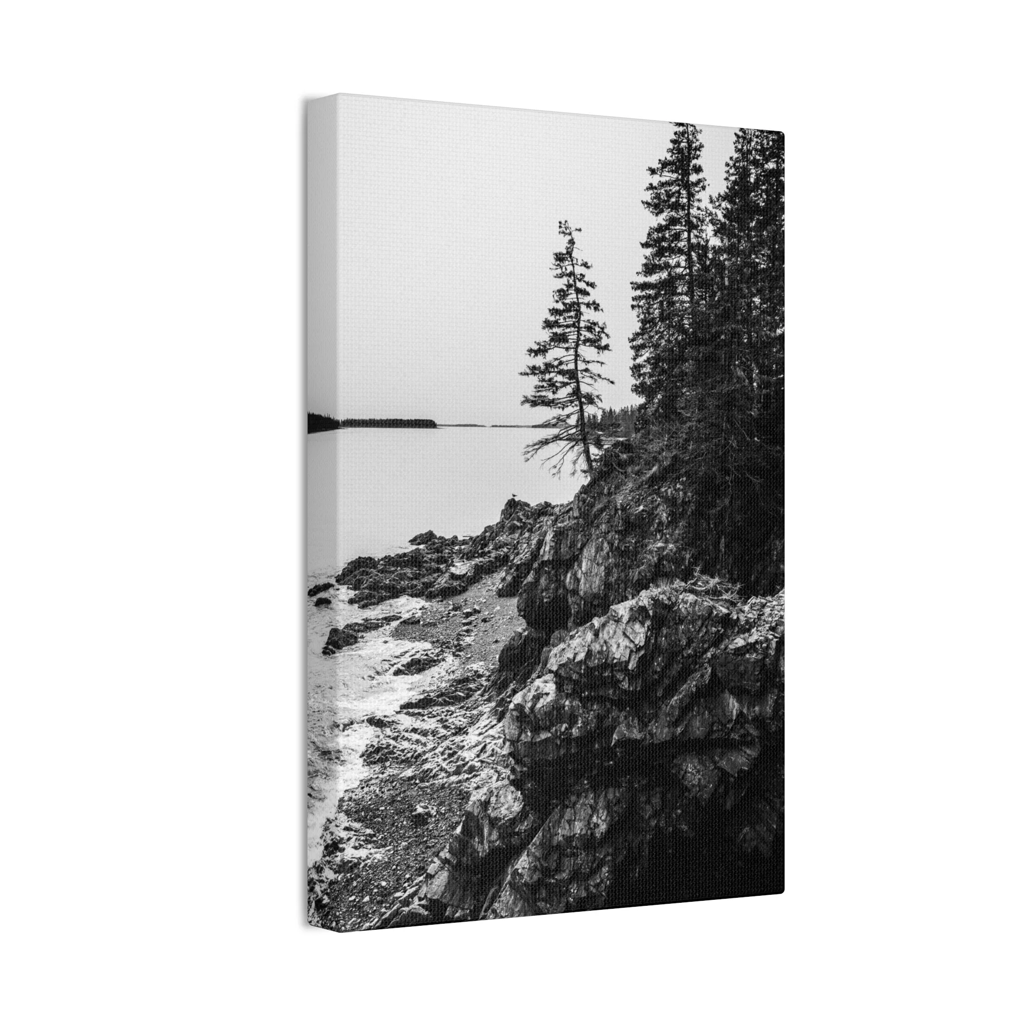 5000bf6d88ef0b5969ece79cc8f345ca