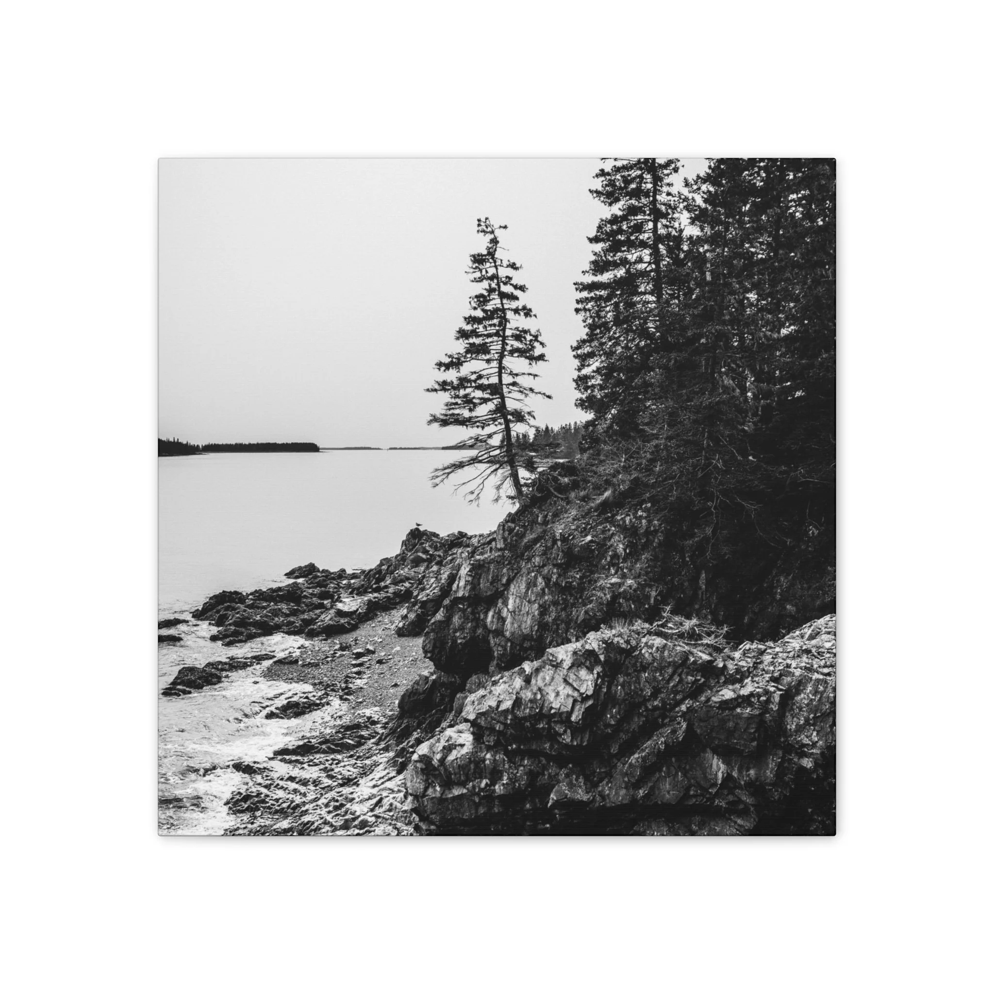 efac579416d2e7026529324dc9bc7621