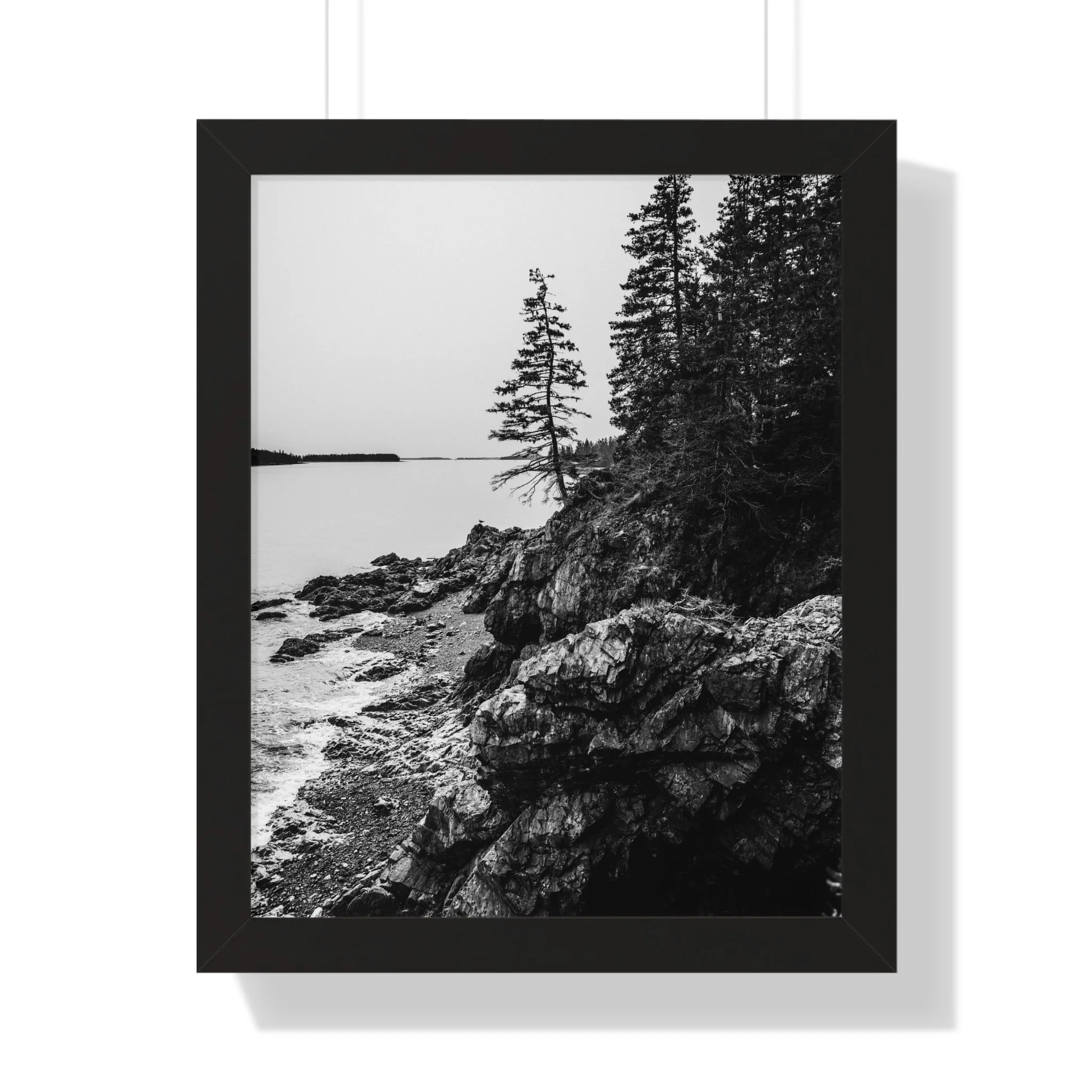 160ed5521fb4deecfcedabd977bca598