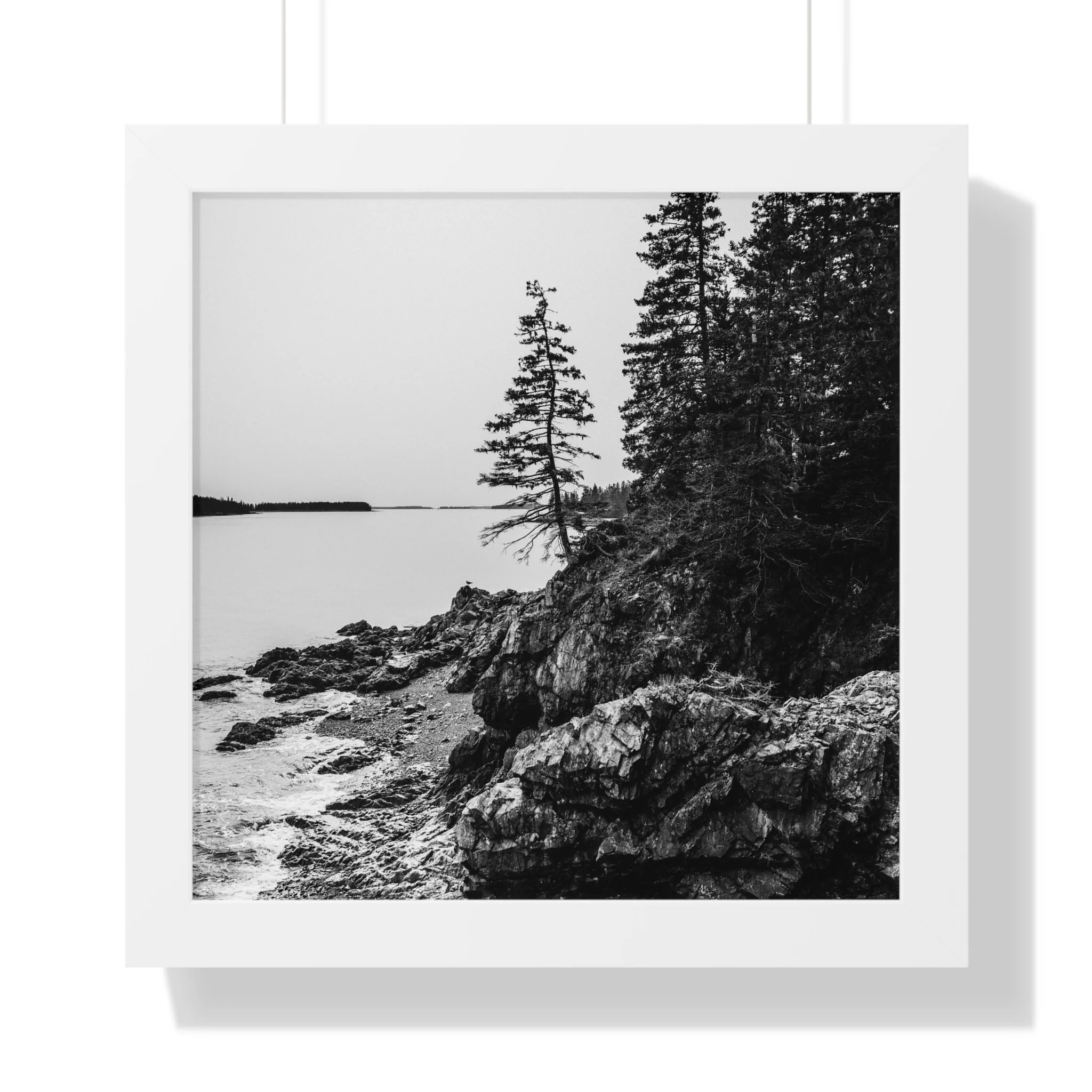 f46125b385d3fab7f67d78101fd0282f