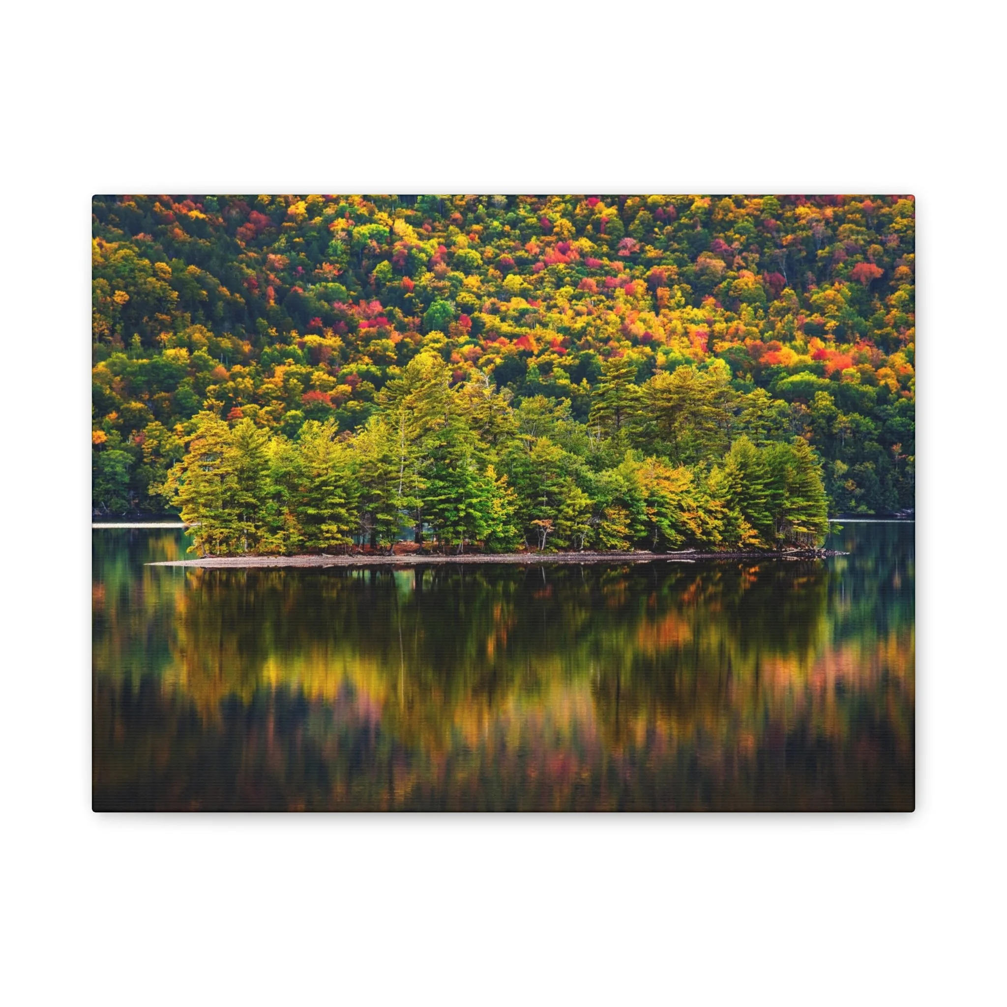 922b29ce578ead6f473c8d695f848351