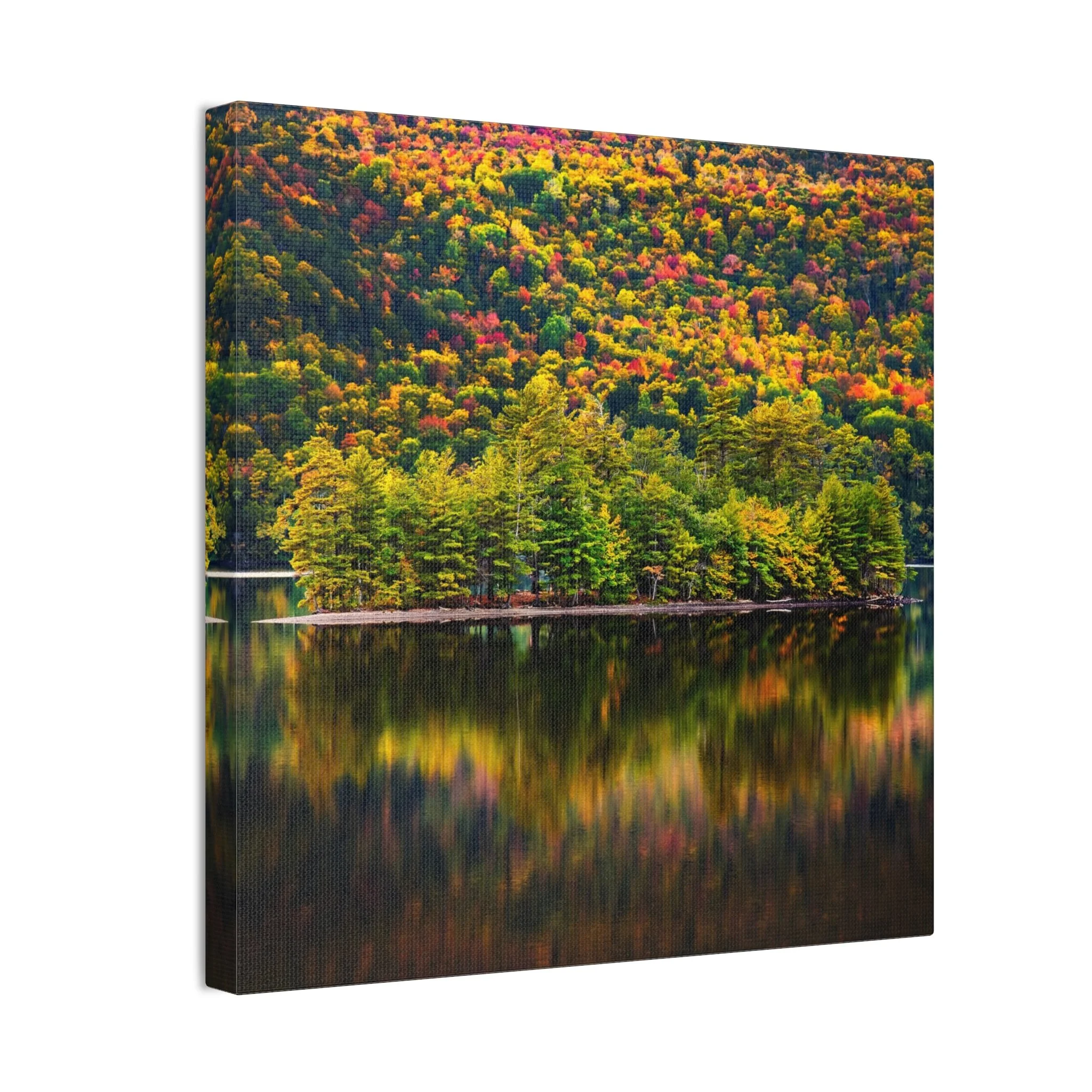 b06e06e970340522f7ff0f435abfc653