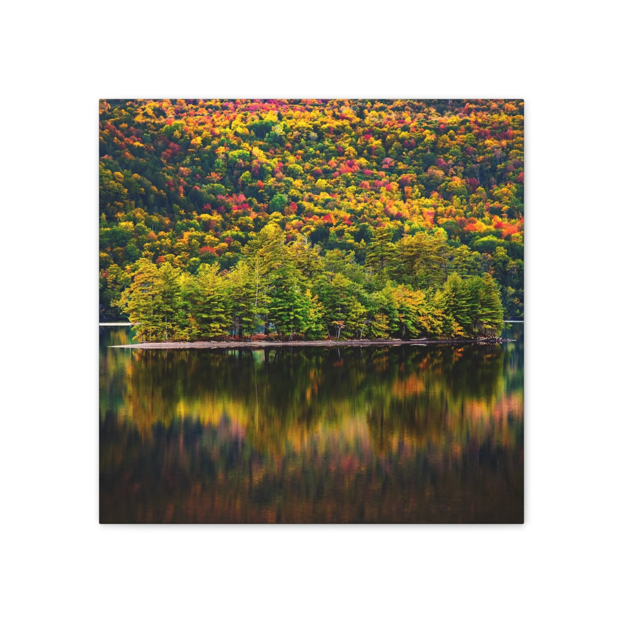 0b8c2fe306224769b45c50df8f7aece5