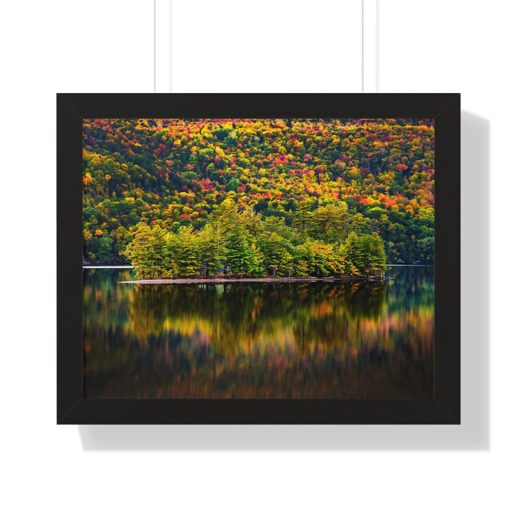 77c61181f4a2106418e7502a416ab2f8